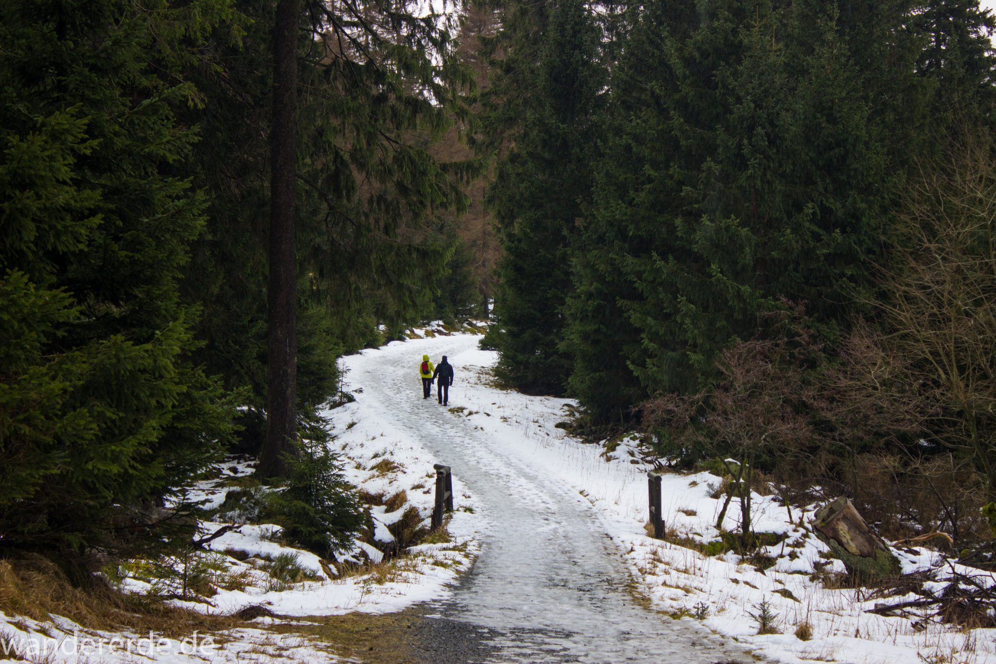 Wanderung zum Brocken über Goetheweg ab Torfhaus, Wanderung im Harz in Niedersachsen, Wanderweg umgeben von schönem dichtem Wald, Reste von Schnee schmelzen, Wanderer auf Wanderweg