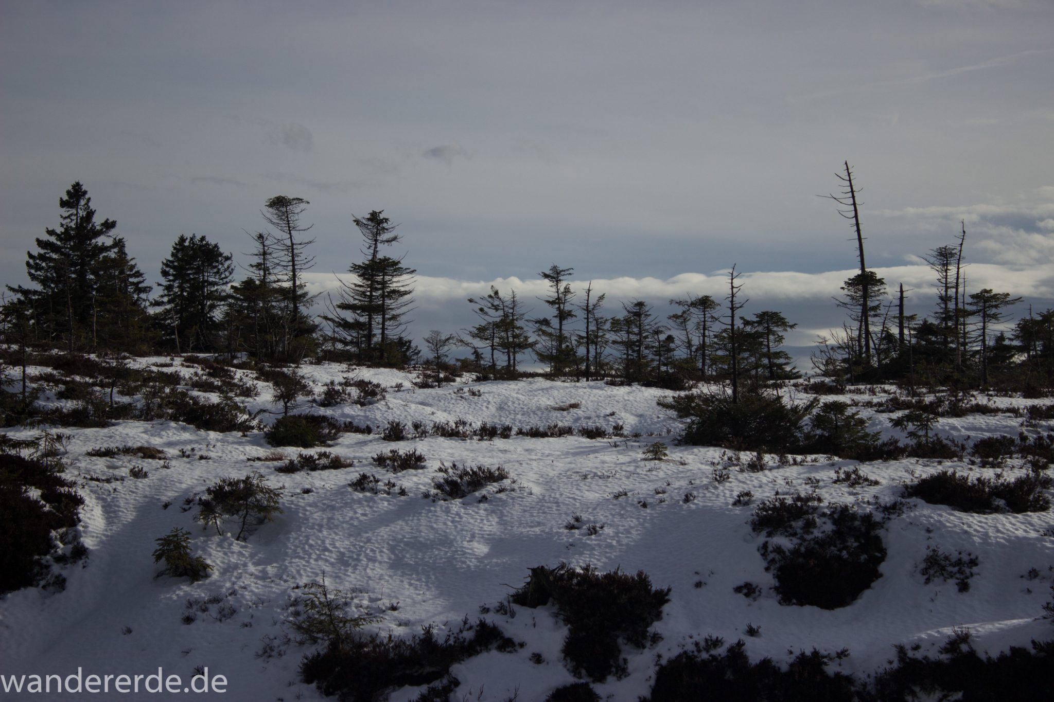 Wanderung zum Brocken über Goetheweg ab Torfhaus, Wanderung im Harz in Niedersachsen, Wanderweg auf Berg Brocken umgeben von teils kargem Wald, Reste von Schnee schmelzen, Sonne scheint, beginnender Frühling