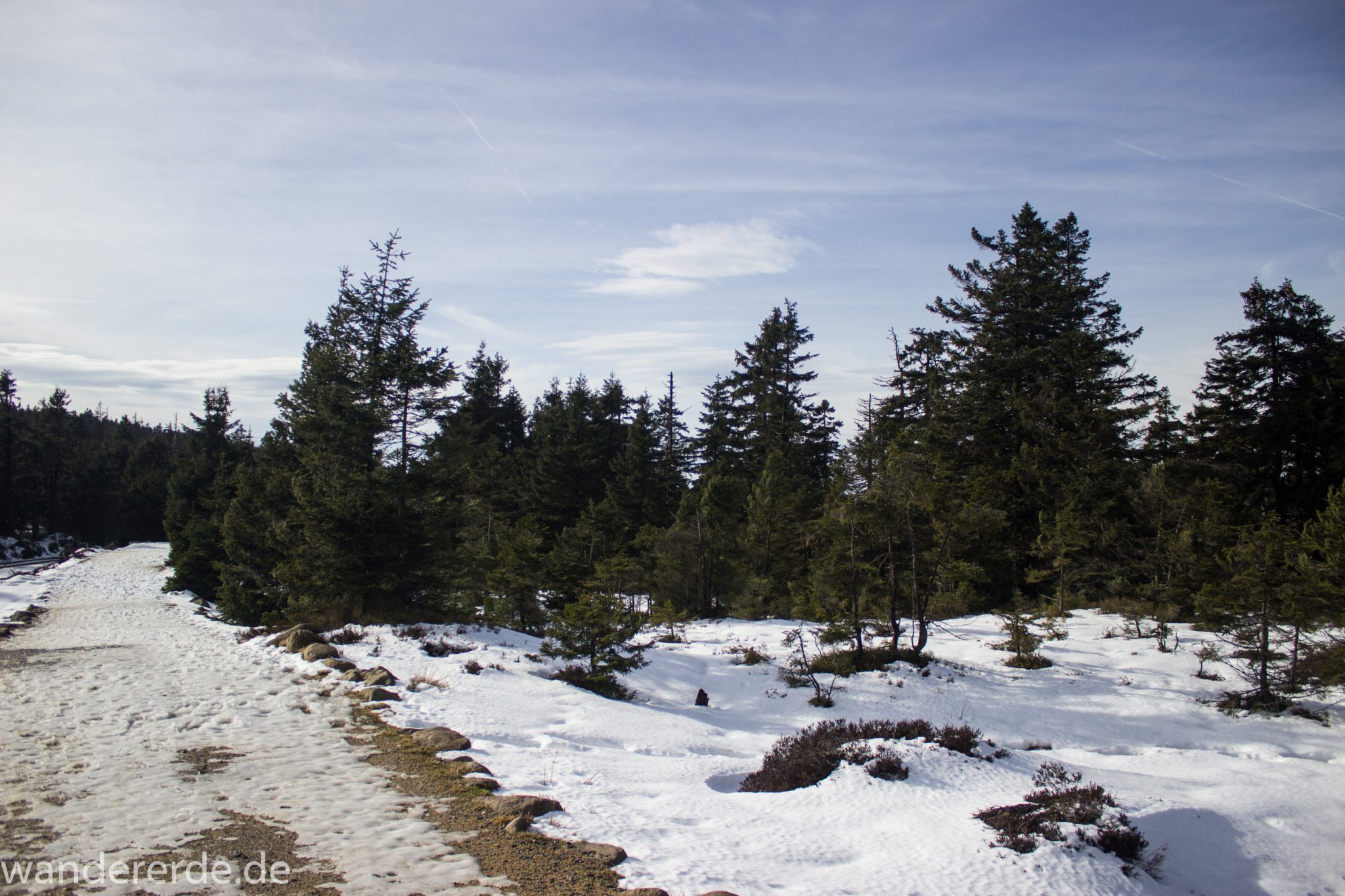 Wanderung zum Brocken über Goetheweg ab Torfhaus, Wanderung im Harz in Niedersachsen, Wanderweg auf Berg Brocken umgeben von schönem Wald, Reste von Schnee schmelzen, Sonne scheint