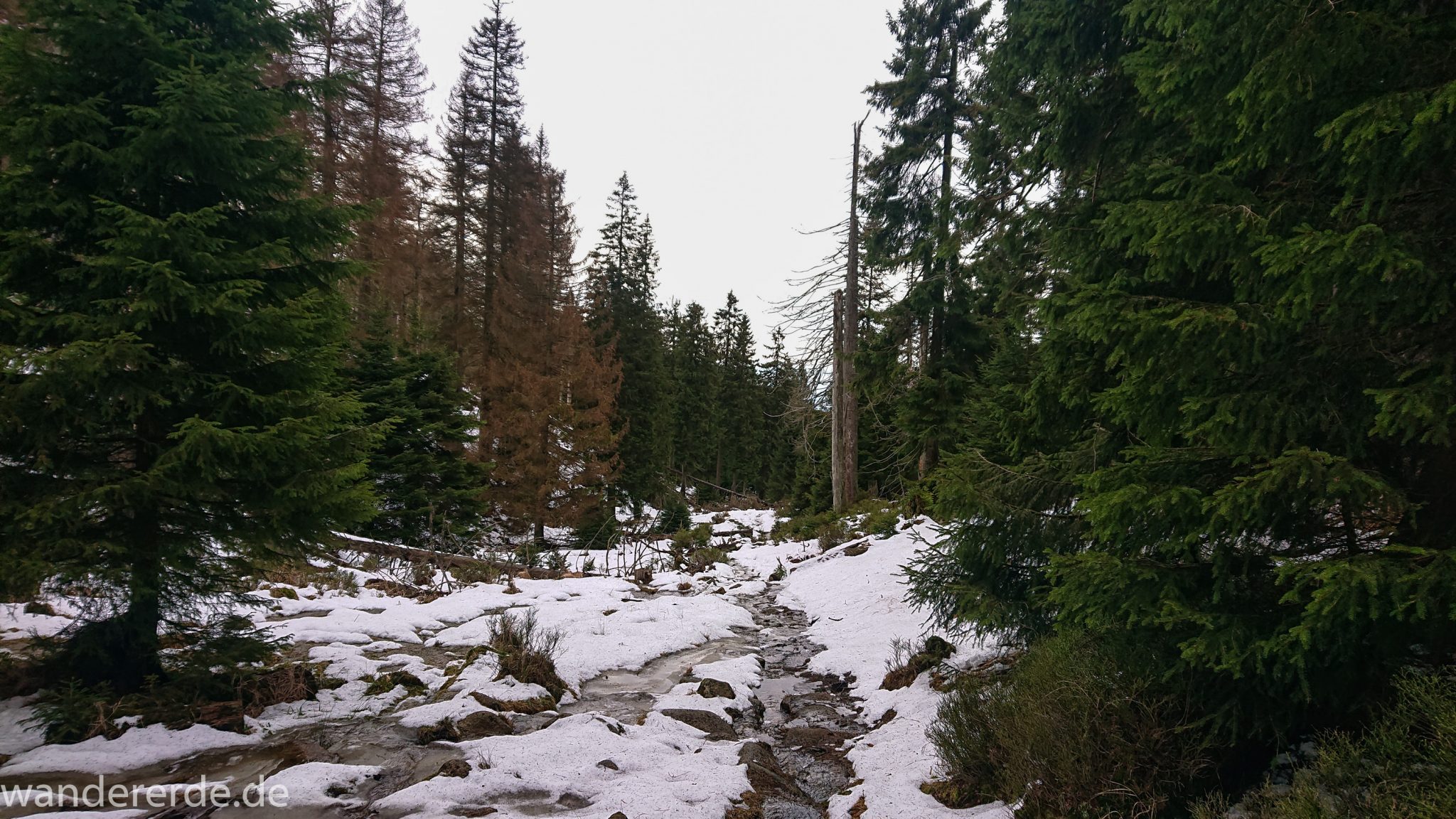 Wanderung zum Brocken von Torfhaus über Goetheweg Wandererde Wanderung zum Brocken von Torfhaus über Goetheweg Wandererde