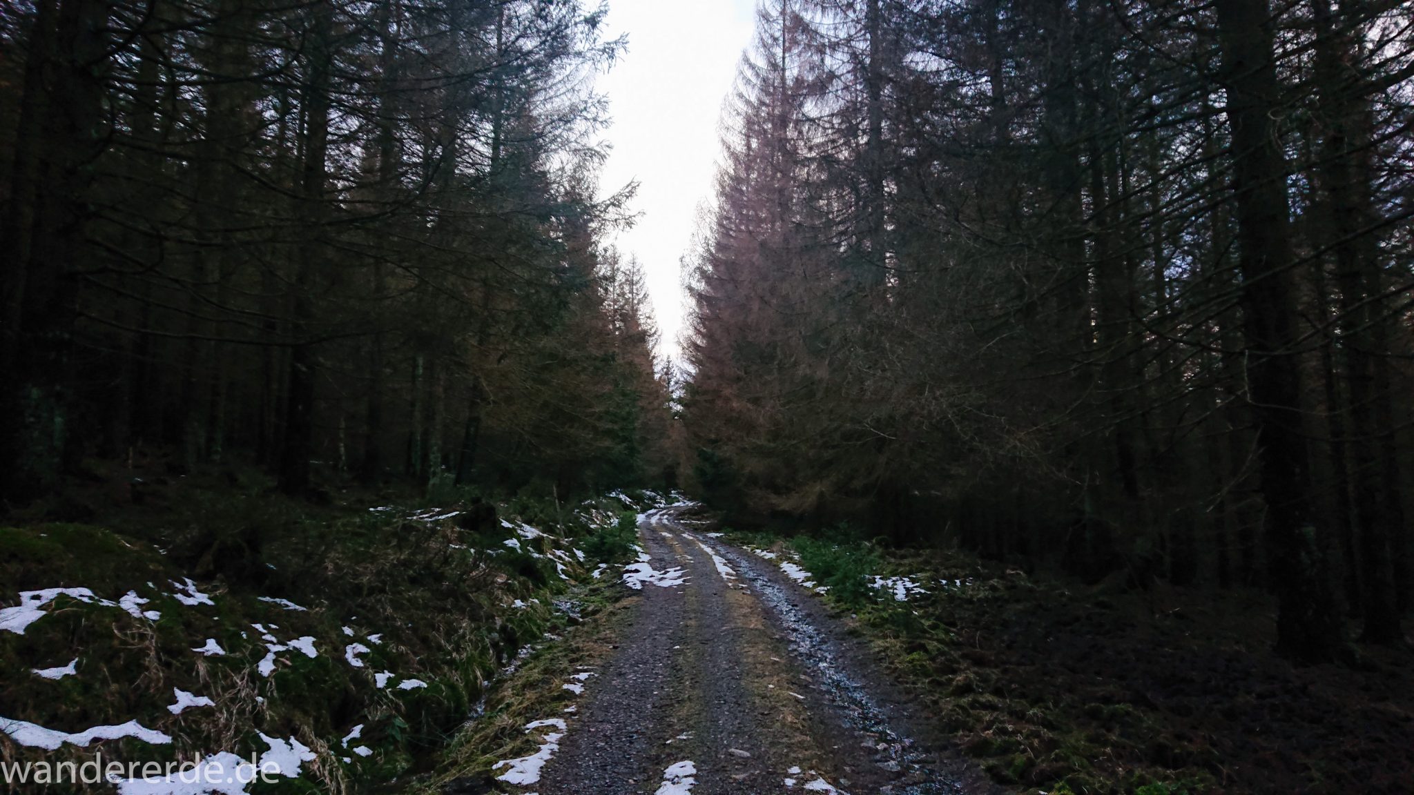 Wanderung zum Brocken über Goetheweg ab Torfhaus, Wanderung im Harz in Niedersachsen, Wanderweg auf Brocken in Sachsen-Anhalt, umgeben von schönem dichtem Wald mit vielen Nadelbäumen, Reste von Schnee schmelzen, winterliche, tolle Atmosphäre