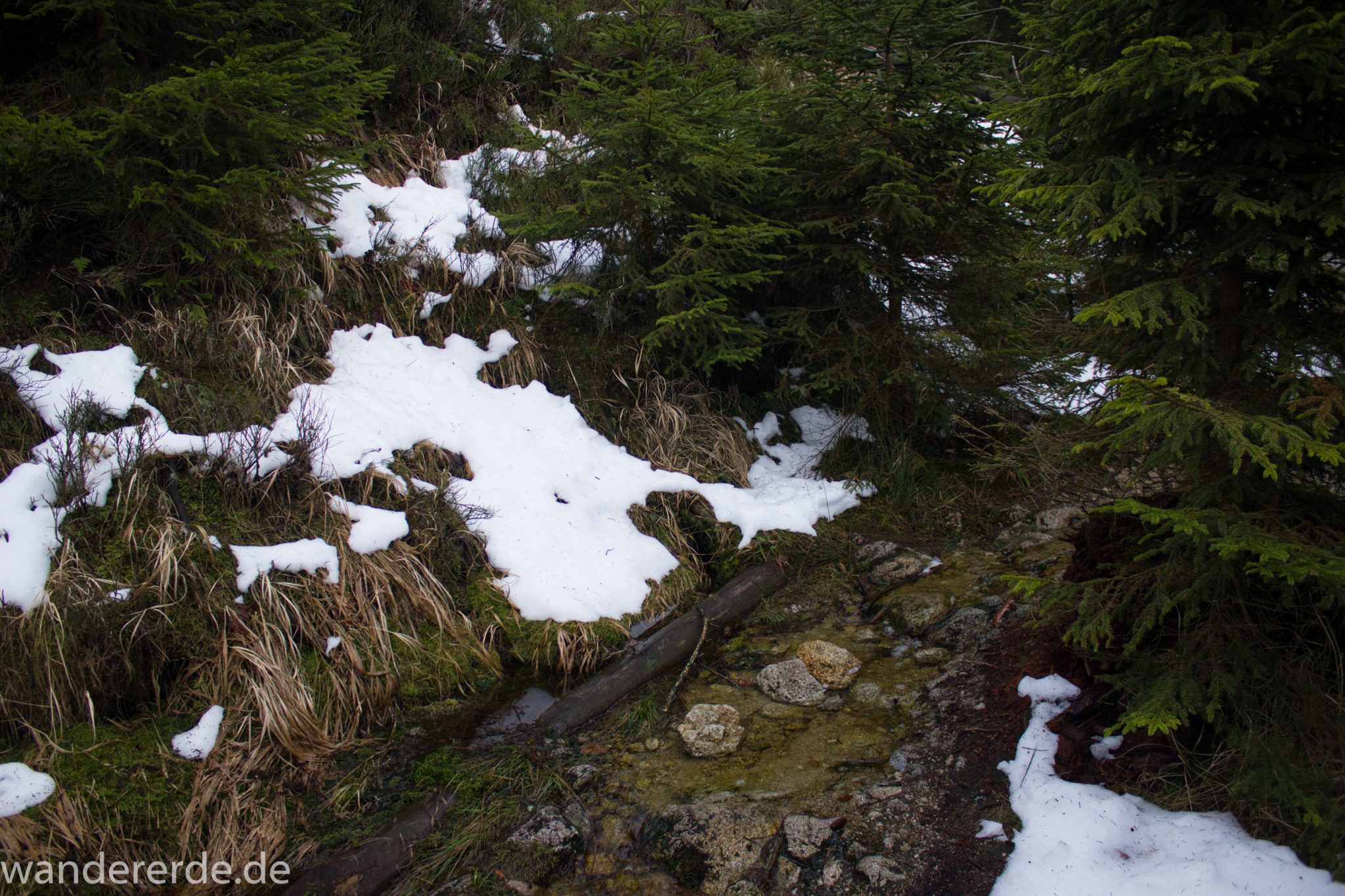 Wanderung zum Brocken über Goetheweg ab Torfhaus, Wanderung im Harz in Niedersachsen, Wanderweg auf Berg Brocken in Sachsen-Anhalt, Reste von Schnee schmelzen, von Brocken zurück zum Torfhaus über den Wanderweg durch das Eckertal, Fluss Ecker fließt mal mehr und mal weniger über den schmalen Wanderweg, umgeben von schönem, dichtem Wald, im Winter bei Schneeschmelze also unbedingt wasserdichte Schuhe