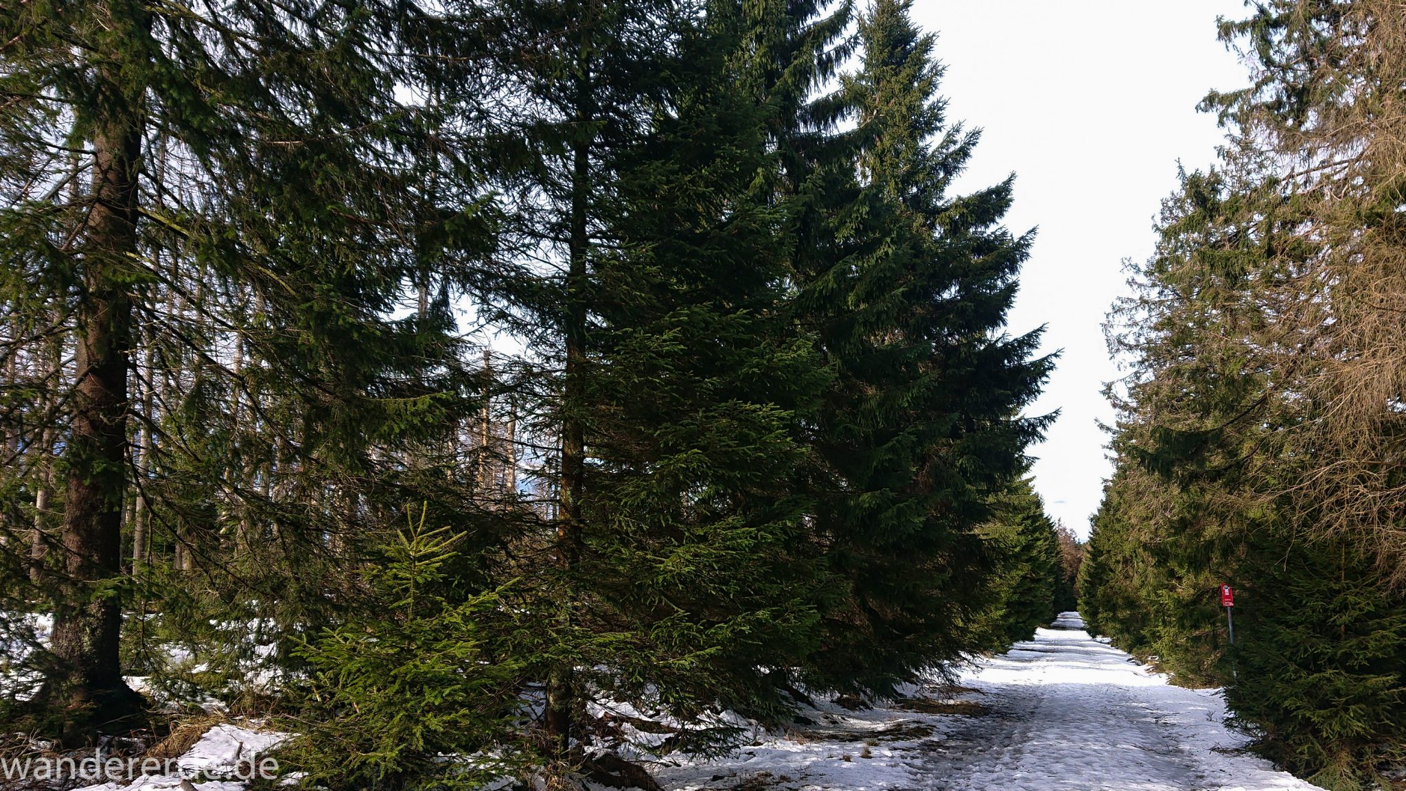 Wanderung zum Brocken über Goetheweg ab Torfhaus, Wanderung im Harz in Niedersachsen, Wanderweg umringt von schönem Wald, Schnee auf Wanderweg beginnt zu schmelzen