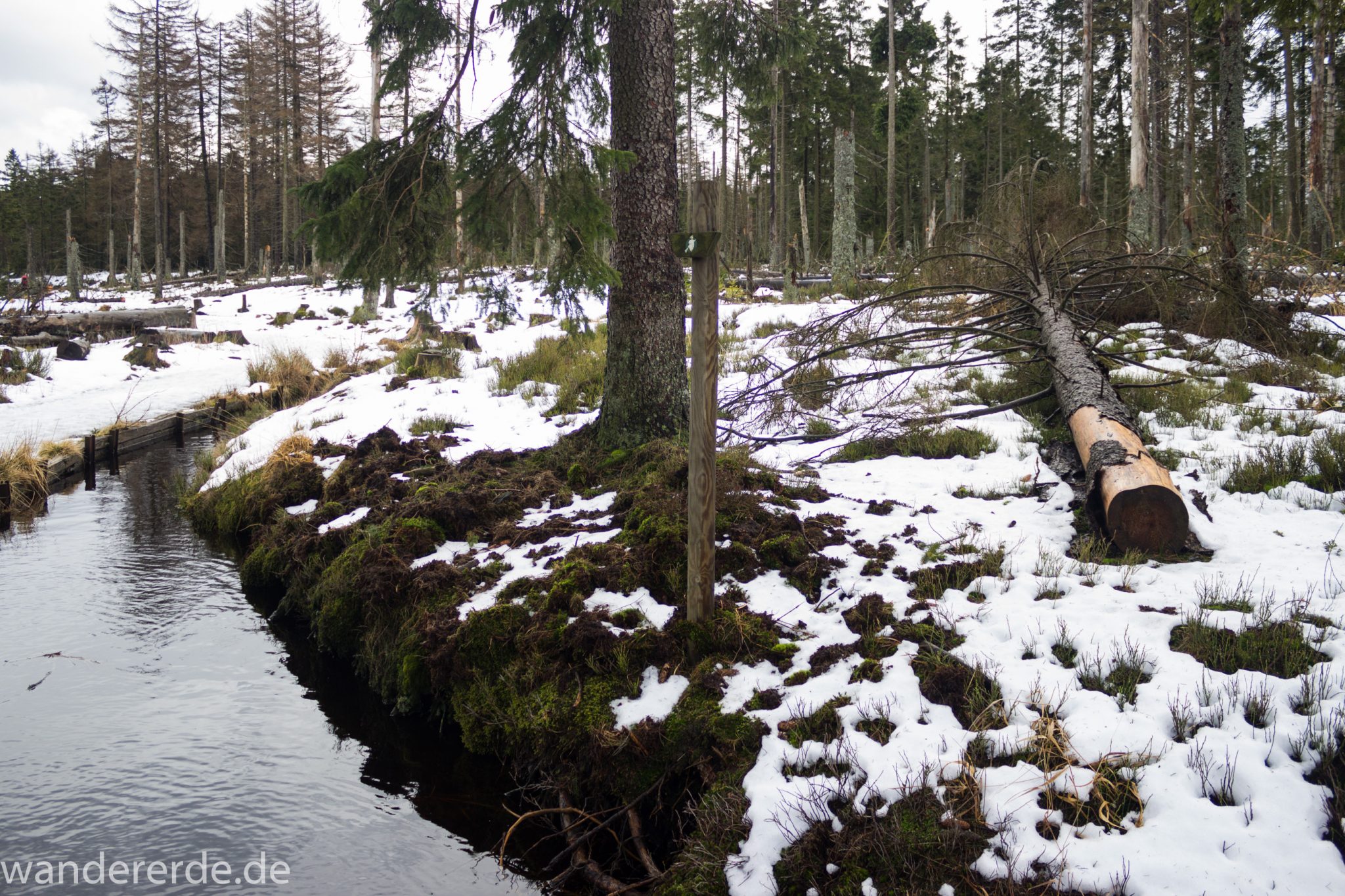 Wanderung zum Brocken über Goetheweg ab Torfhaus, Wanderung im Harz in Niedersachsen, Wanderweg mit Blick auf Oberharzer Wasserregal, umringt von Wald, Schnee auf Wanderweg beginnt zu schmelzen
