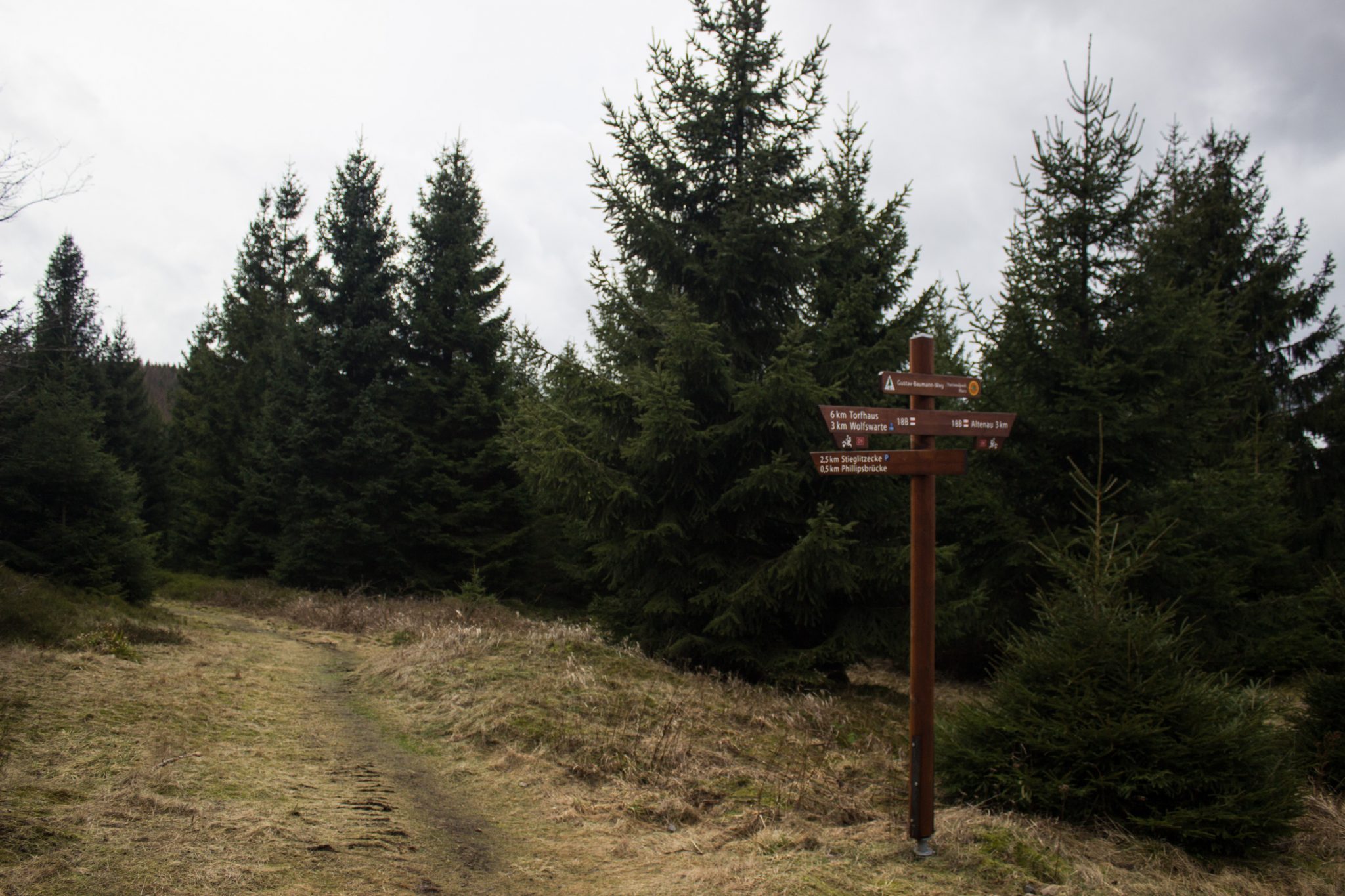 Wanderung im Harz bei Torfhaus: Wolfswarte, Siebertal und Oberharzer Wasserregal in Niedersachsen, schmaler Wanderweg umgeben von Nadelwäldern, Schild Wegweiser mit verschiedenen Wanderrouten
