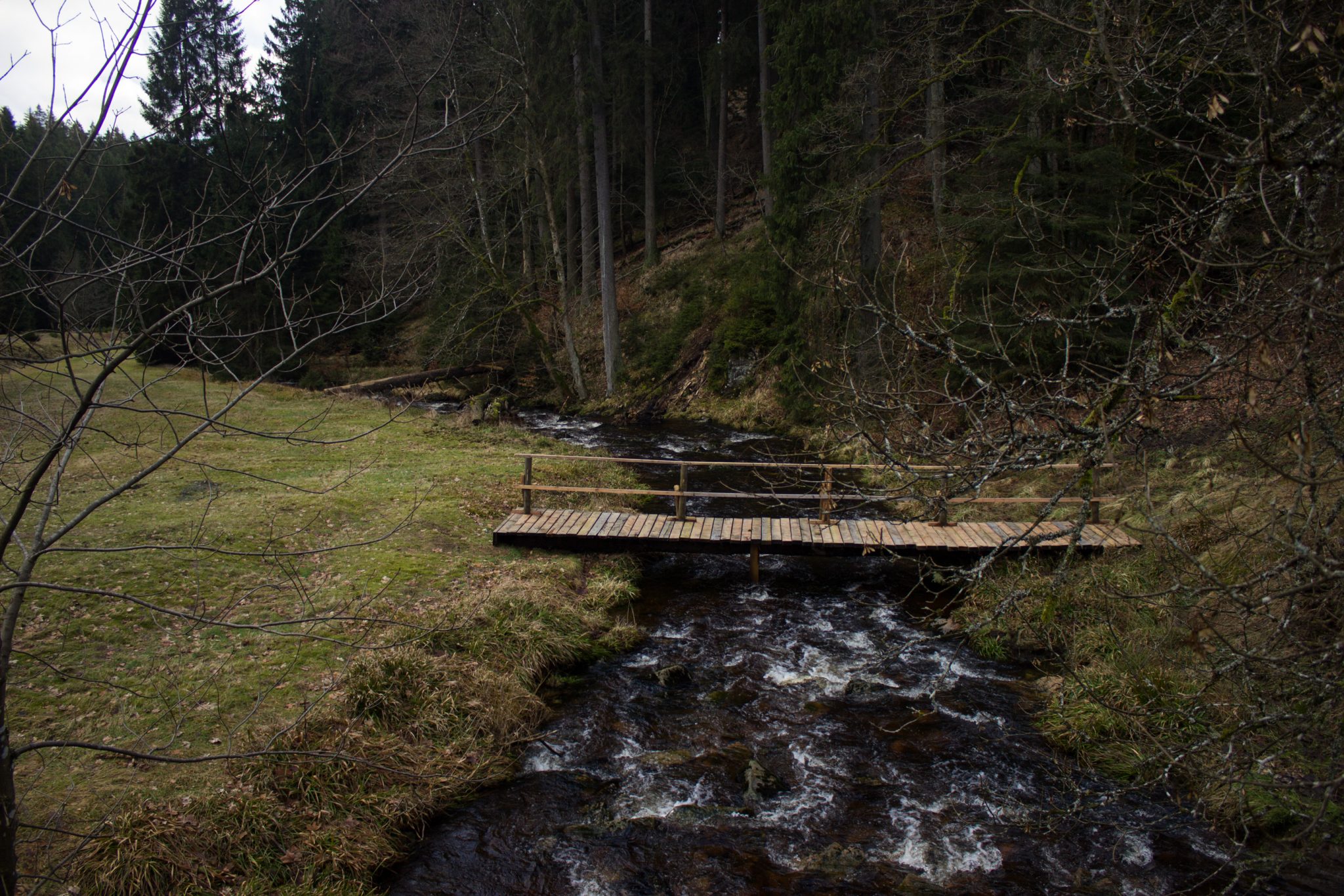 Wanderung im Harz bei Torfhaus: Wolfswarte, Siebertal und Oberharzer Wasserregal in Niedersachsen, Wanderweg umgeben von dichten Nadelwäldern, kleine Brücke führt über den Fluss Sieber ins Siebertal