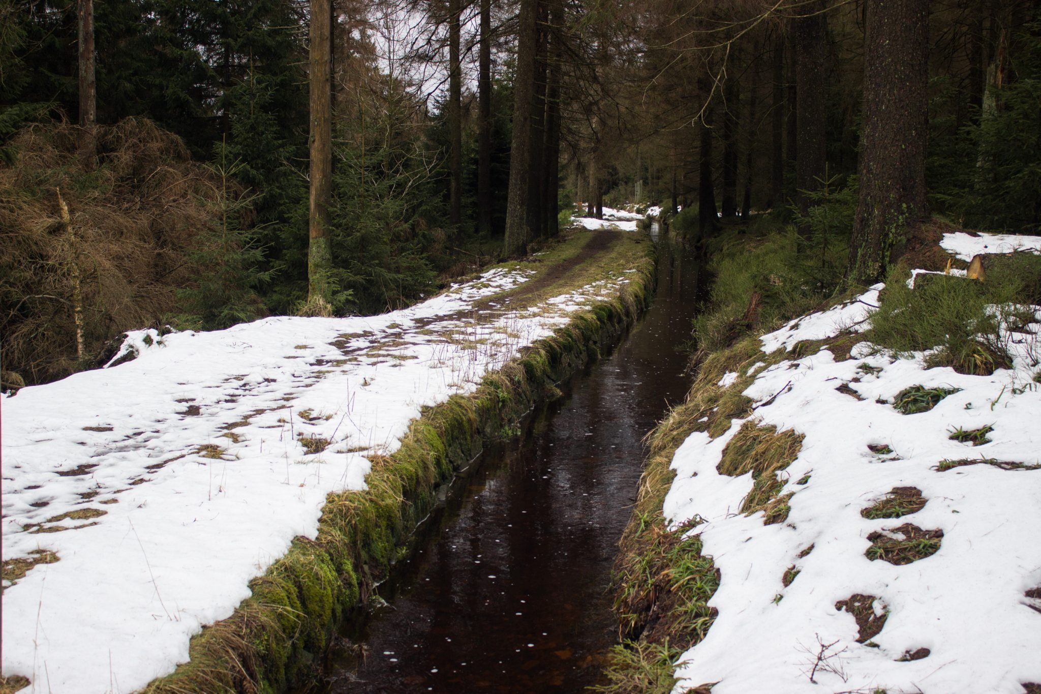 Wanderung im Harz bei Torfhaus: Wolfswarte, Siebertal und Oberharzer Wasserregal in Niedersachsen, UNESCO Weltkulturerbe Oberharzer Wasserregal, Clausthaler Flutgraben mit schmalem Wanderweg umgeben von Nadelwäldern, Schneereste schmelzen