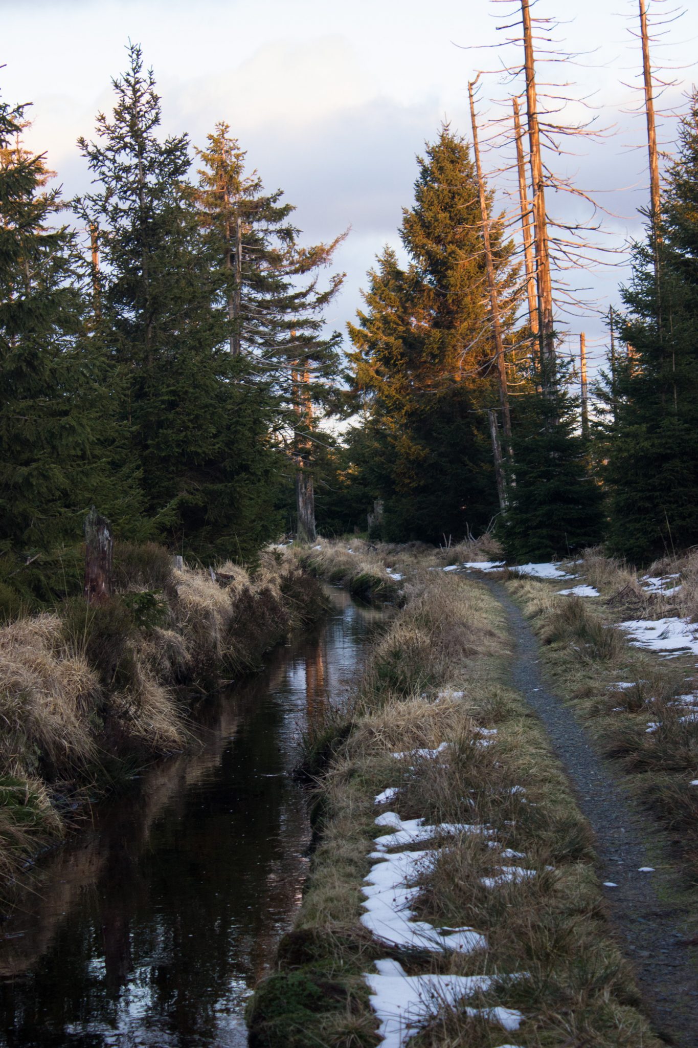 Wanderung im Harz bei Torfhaus: Wolfswarte, Siebertal und Oberharzer Wasserregal in Niedersachsen, UNESCO Weltkulturerbe Oberharzer Wasserregal, Clausthaler Flutgraben mit schmalem Wanderweg umgeben von Nadelwäldern, Schneereste schmelzen, untergehende Sonne zaubert schönes Licht