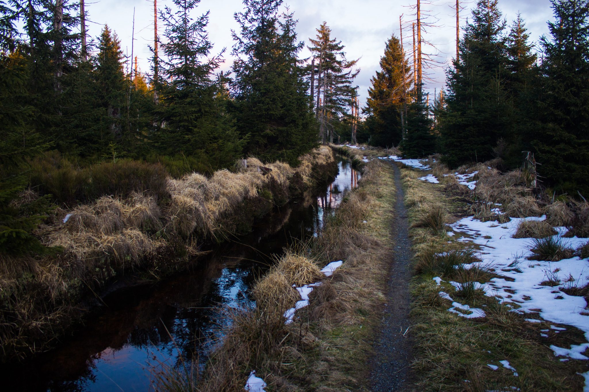 Wanderung im Harz bei Torfhaus: Wolfswarte, Siebertal und Oberharzer Wasserregal in Niedersachsen, UNESCO Weltkulturerbe Oberharzer Wasserregal, Clausthaler Flutgraben mit schmalem Wanderweg umgeben von Nadelwäldern, Schneereste schmelzen, untergehende Sonne zaubert schönes Licht