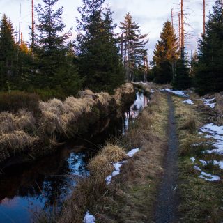 Wanderung im Harz bei Torfhaus: Wolfswarte, Siebertal und Oberharzer Wasserregal in Niedersachsen, UNESCO Weltkulturerbe Oberharzer Wasserregal, Clausthaler Flutgraben mit schmalem Wanderweg umgeben von Nadelwäldern, Schneereste schmelzen, untergehende Sonne zaubert schönes Licht