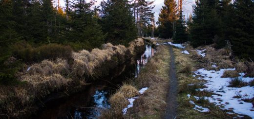 Wanderung im Harz bei Torfhaus: Wolfswarte, Siebertal und Oberharzer Wasserregal in Niedersachsen, UNESCO Weltkulturerbe Oberharzer Wasserregal, Clausthaler Flutgraben mit schmalem Wanderweg umgeben von Nadelwäldern, Schneereste schmelzen, untergehende Sonne zaubert schönes Licht