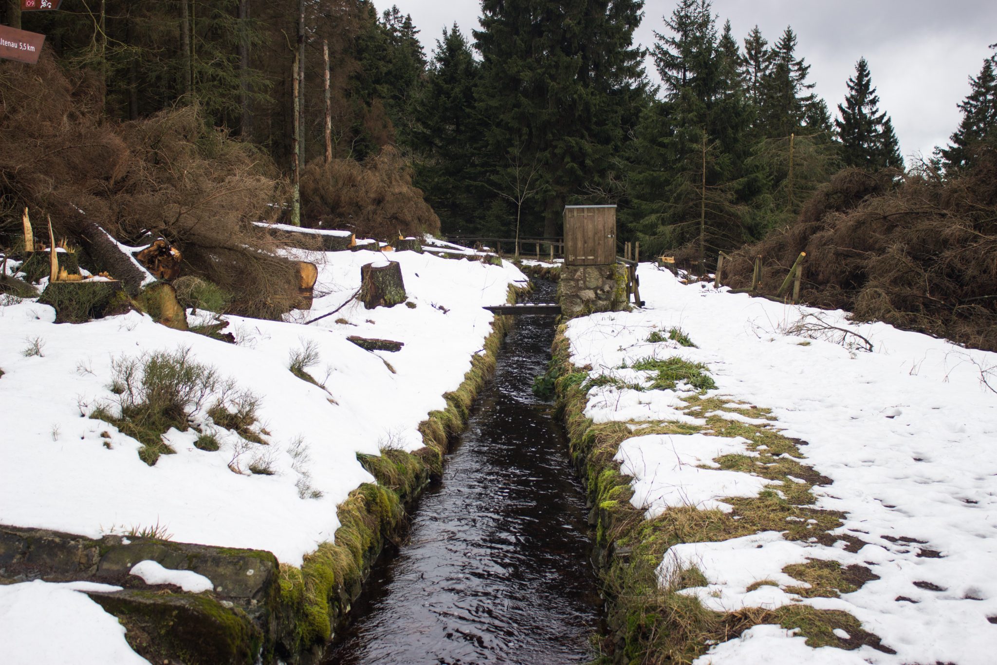 Wanderung im Harz bei Torfhaus: Wolfswarte, Siebertal und Oberharzer Wasserregal in Niedersachsen, UNESCO Weltkulturerbe Oberharzer Wasserregal, Clausthaler Flutgraben mit schmalem Wanderweg umgeben von Nadelwäldern, Schneereste schmelzen