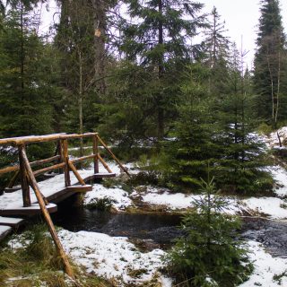 Wanderung zum Oderteich von Torfhaus im Harz über Märchenweg, Rehberger Graben und durch das Odertal, Wanderung im Harz in Niedersachsen, verschneite und idyllische Winterlandschaft entlang des Märchenwegs, Sumpf, umgefallene Bäume im schönen Wald, sehr matschiger Wanderweg, Schnee schmilzt, Bäche sind voll