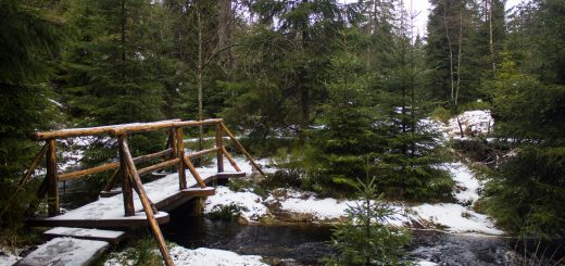 Wanderung zum Oderteich von Torfhaus im Harz über Märchenweg, Rehberger Graben und durch das Odertal, Wanderung im Harz in Niedersachsen, verschneite und idyllische Winterlandschaft entlang des Märchenwegs, Sumpf, umgefallene Bäume im schönen Wald, sehr matschiger Wanderweg, Schnee schmilzt, Bäche sind voll
