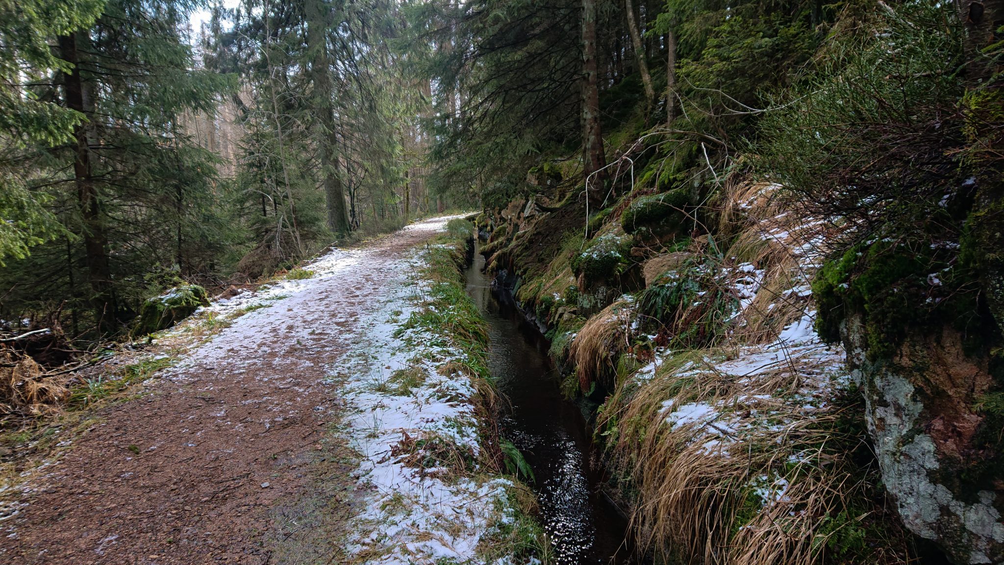 Wanderung zum Oderteich von Torfhaus im Harz über Märchenweg, Rehberger Graben und durch das Odertal, Wanderung im Harz in Niedersachsen, verschneite Winterlandschaft entlang des Märchenwegs, Sumpf, umgefallene Bäume im schönen Wald, sehr matschiger Wanderweg, Schnee schmilzt