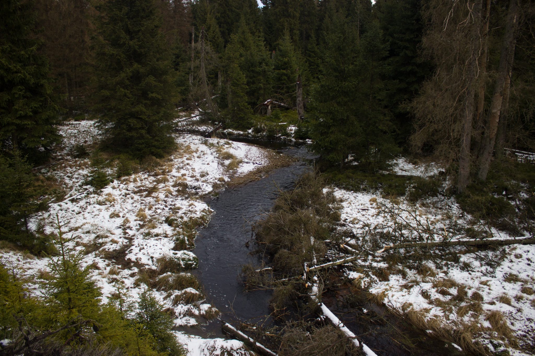 Wanderung zum Oderteich von Torfhaus im Harz über Märchenweg, Rehberger Graben und durch das Odertal, Wanderung im Harz in Niedersachsen, verschneite Winterlandschaft entlang des Märchenwegs, Sumpf, umgefallene Bäume im schönen Wald, sehr matschiger Wanderweg, Schnee schmilzt, Bäche entstehen
