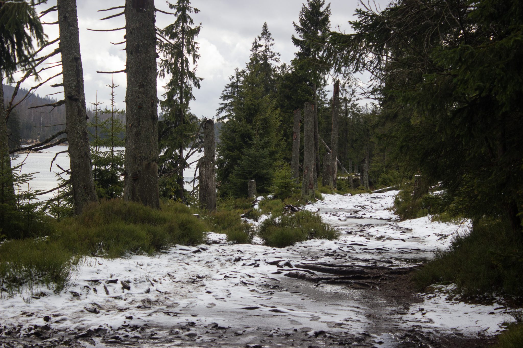 Wanderung zum Oderteich von Torfhaus im Harz über Märchenweg, Rehberger Graben und durch das Odertal, Wanderung im Harz in Niedersachsen,verschneite Winterlandschaft, teils umgefallene und abgeknickte Bäume, sehr matschiger Wanderweg, Schnee schmilzt, Blick auf den Oderteich umgeben von schönem Wald