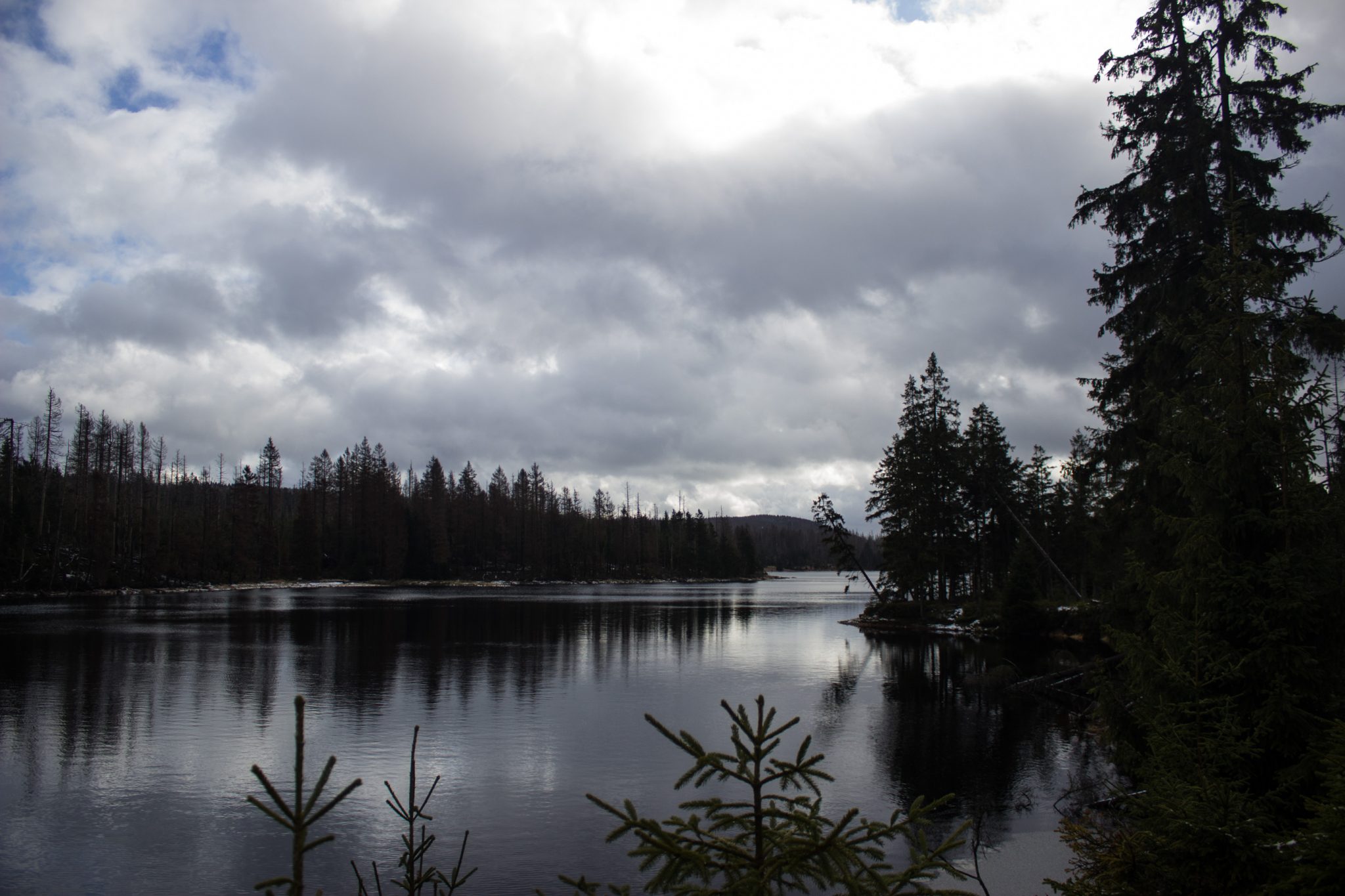 Wanderung zum Oderteich von Torfhaus im Harz über Märchenweg, Rehberger Graben und durch das Odertal, Wanderung im Harz in Niedersachsen, verschneite Winterlandschaft, schöner Ausblick auf den Oderteich umgeben von schönem Wald