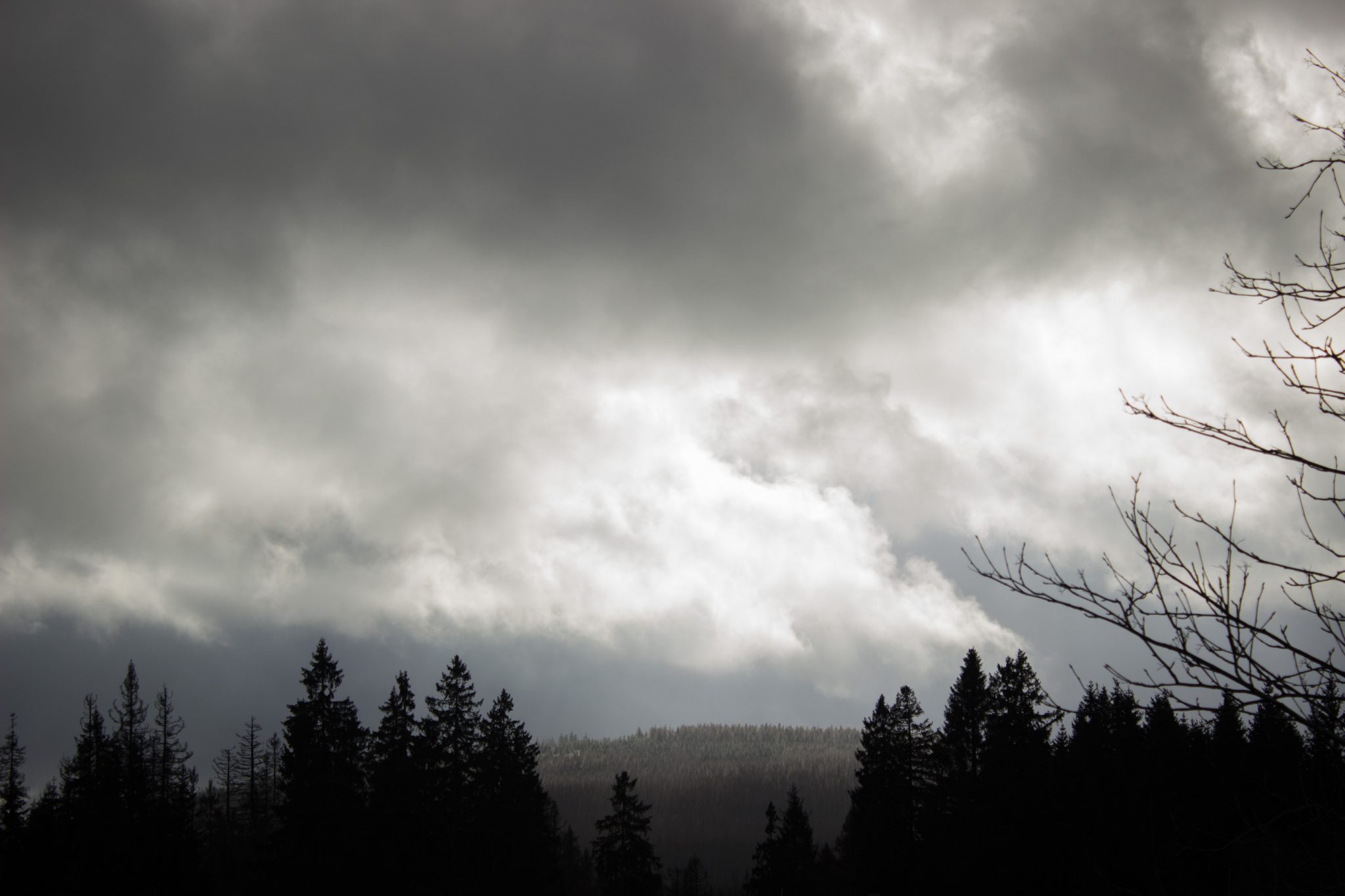 Wanderung zum Oderteich von Torfhaus im Harz über Märchenweg, Rehberger Graben und durch das Odertal, Wanderung im Harz in Niedersachsen, verschneite Winterlandschaft beim Rundweg Rehberger Graben, weite Aussicht auf stark abgestorbenen Wald durch den Borkenkäfer, schöner von Wolken bedeckter Himmel im Winter