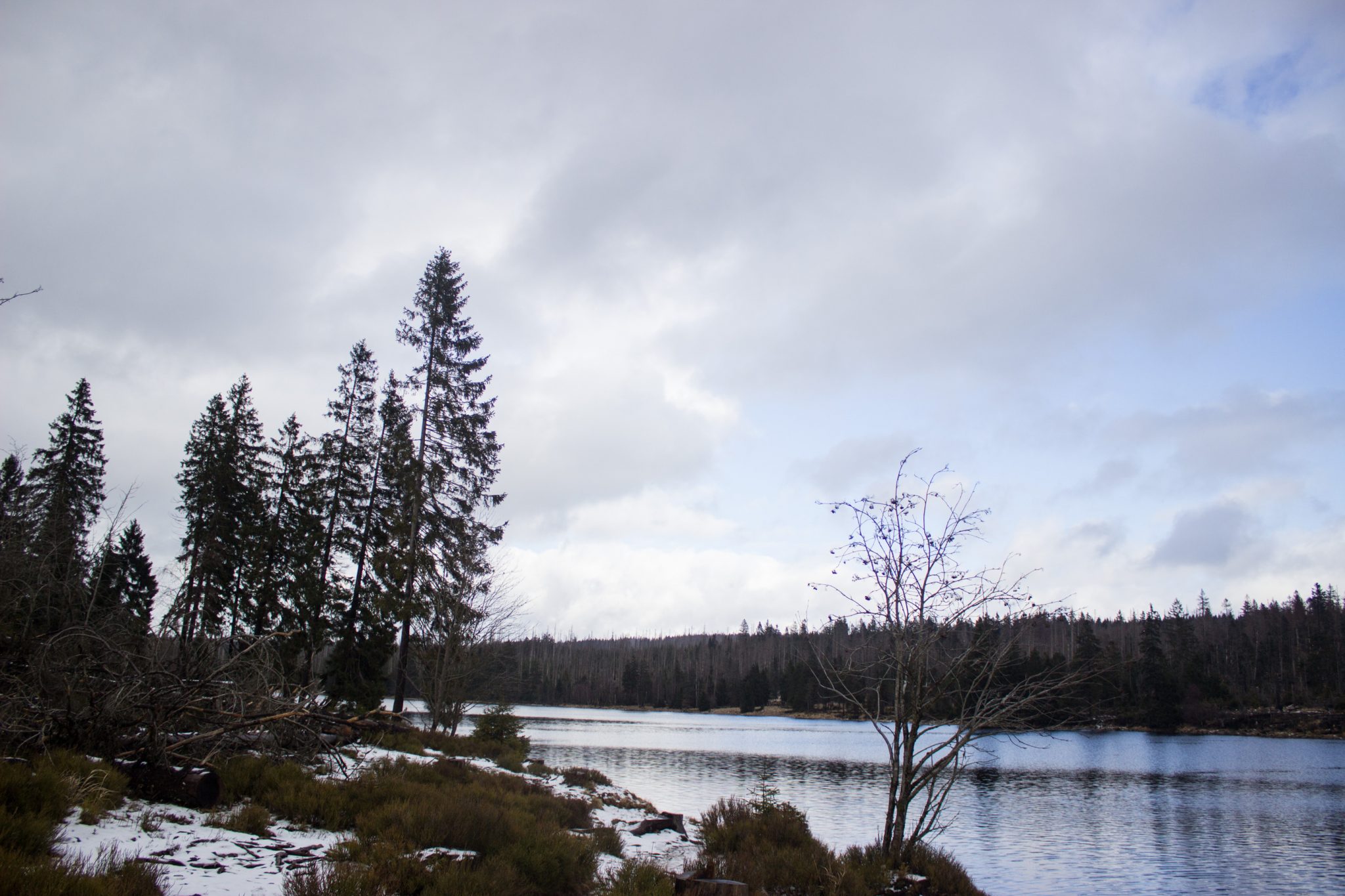 Wanderung zum Oderteich von Torfhaus im Harz über Märchenweg, Rehberger Graben und durch das Odertal, Wanderung im Harz in Niedersachsen, verschneite Winterlandschaft, schöner Ausblick auf den Oderteich