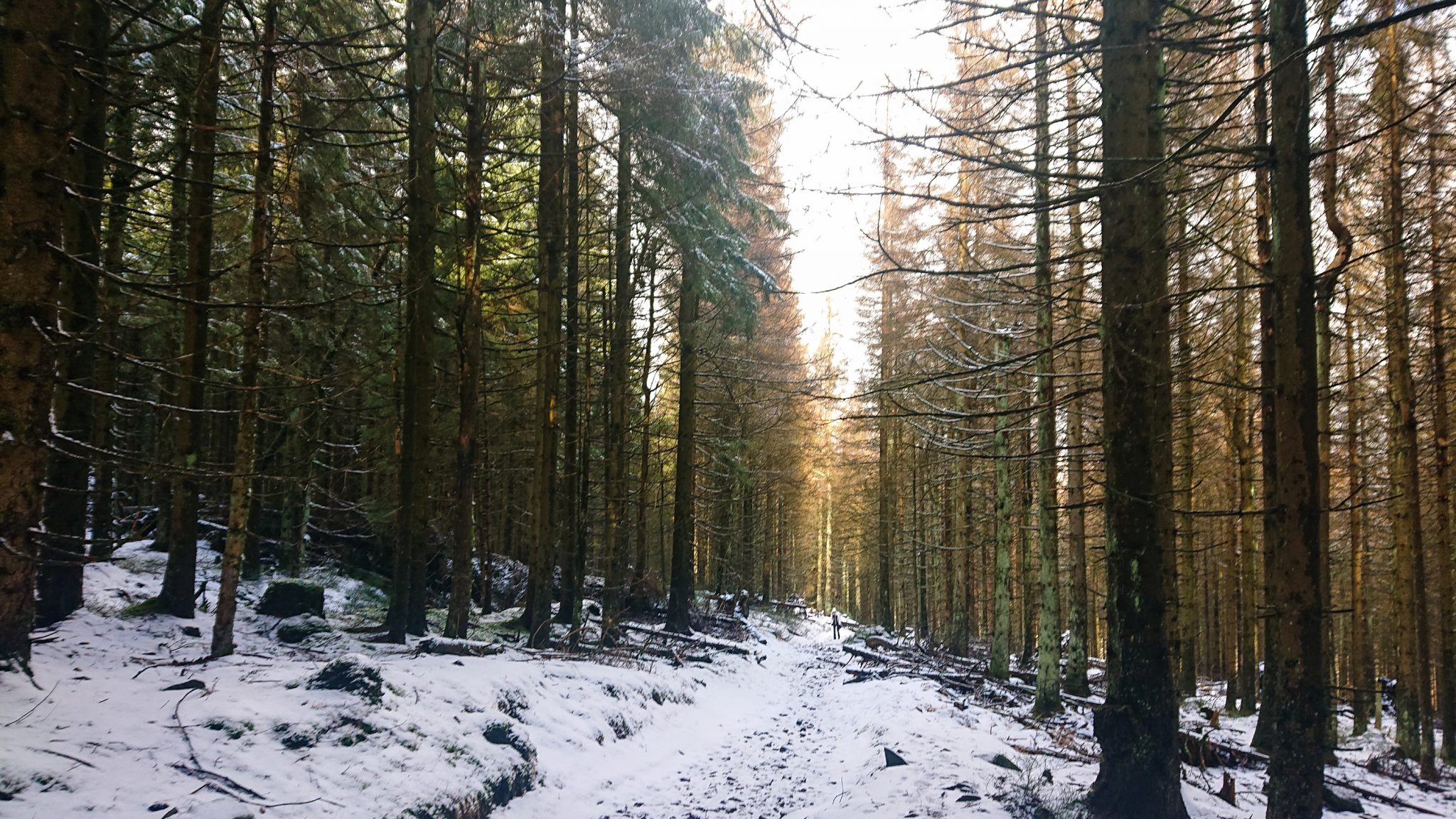 Wanderung zum Oderteich von Torfhaus im Harz über Märchenweg, Rehberger Graben und durch das Odertal, Wanderung im Harz in Niedersachsen, verschneite Winterlandschaft, sehr matschiger Wanderweg, Schnee schmilzt