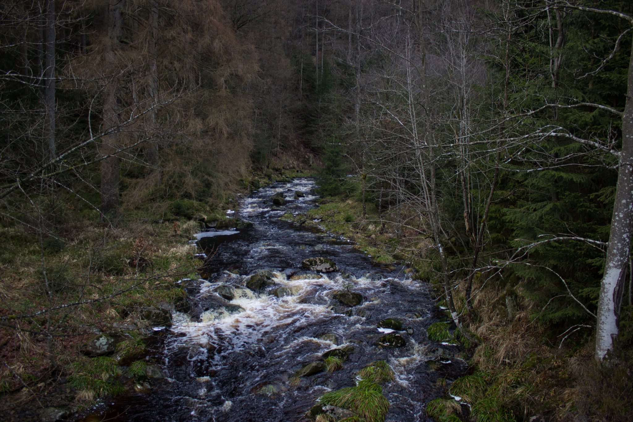 Wanderung zum Oderteich von Torfhaus im Harz über Märchenweg, Rehberger Graben und durch das Odertal, Wanderung im Harz in Niedersachsen, sehr langer Weg durch das Odertal zurück zum Oderteich Richtung Torfhaus, breiter Wanderweg mit Kieselsteinen, umgeben von schönem Wald, Blick auf die durch die Schneeschmelze volle Oder