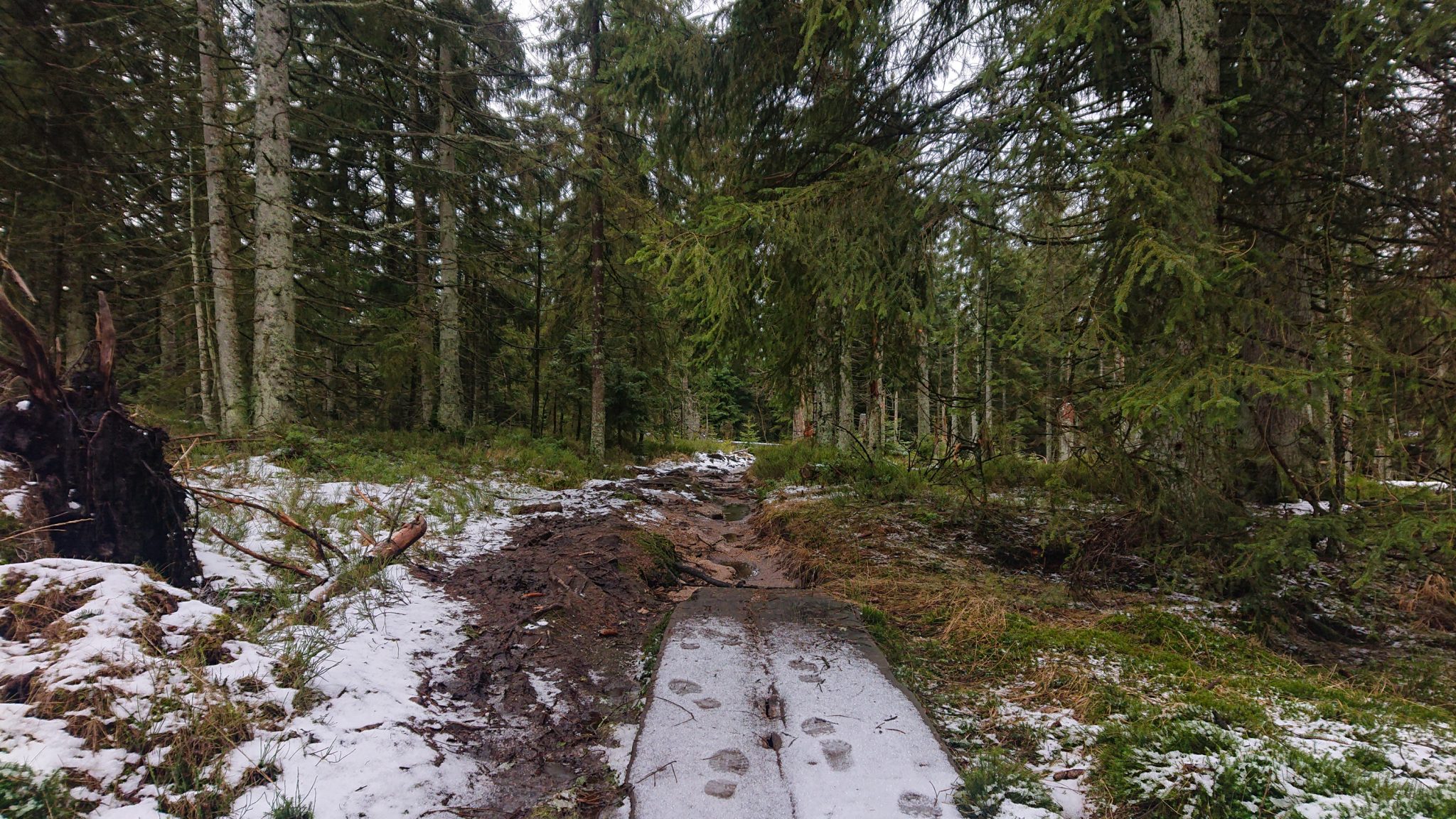 Wanderung zum Oderteich von Torfhaus im Harz über Märchenweg, Rehberger Graben und durch das Odertal, Wanderung im Harz in Niedersachsen, verschneite Winterlandschaft entlang des Märchenwegs, Sumpf, umgefallene Bäume im schönen Wald, sehr matschiger Wanderweg, Schnee schmilzt