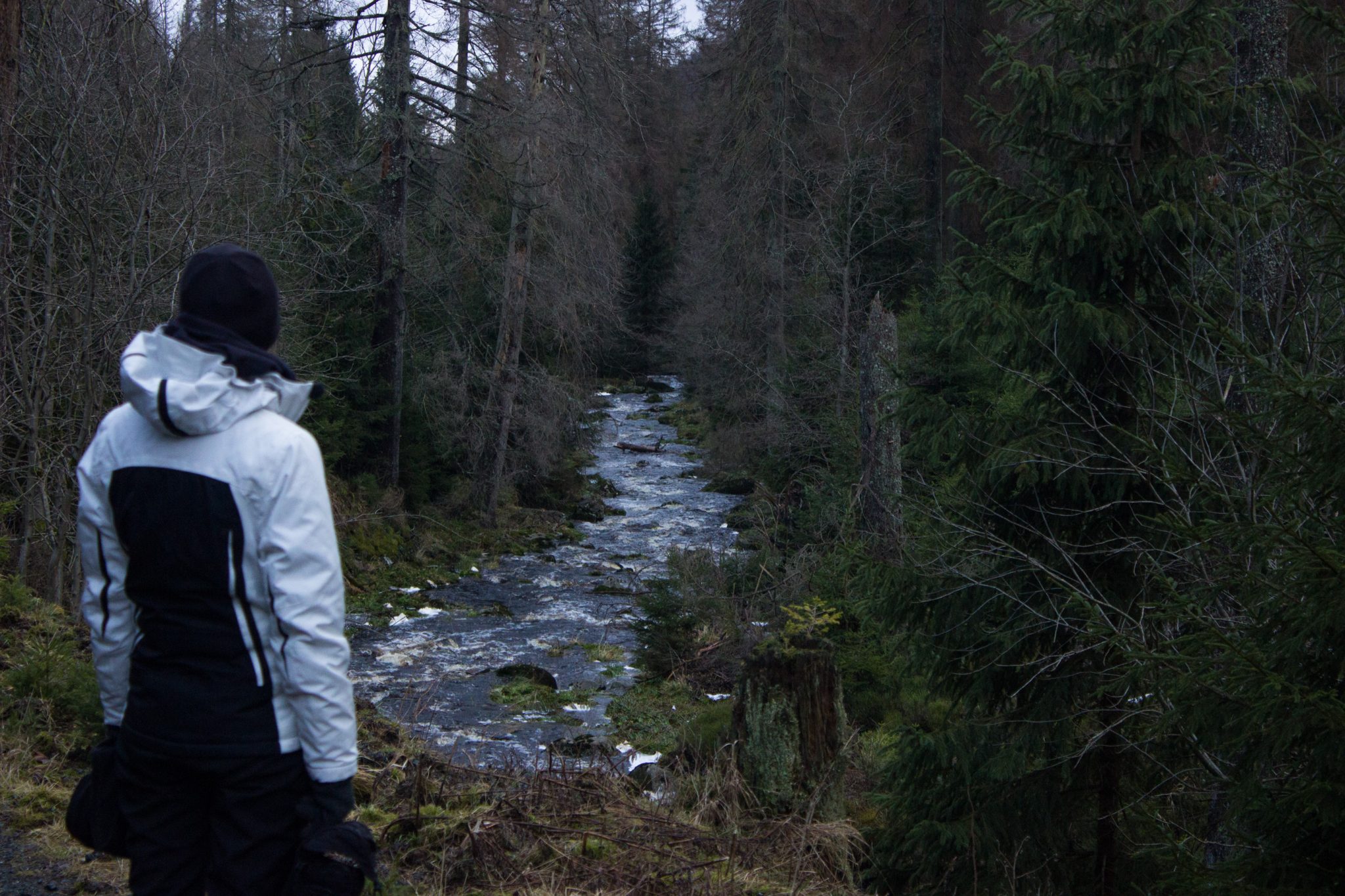 Wanderung zum Oderteich von Torfhaus im Harz über Märchenweg, Rehberger Graben und durch das Odertal, Wanderung im Harz in Niedersachsen, sehr langer Weg durch das Odertal zurück zum Oderteich Richtung Torfhaus, Bäche sind durch Schneeschmelze gefüllt, dadurch teils sehr matschiger Wanderweg, umgefallene Bäume werden liegen gelassen im Nationalpark