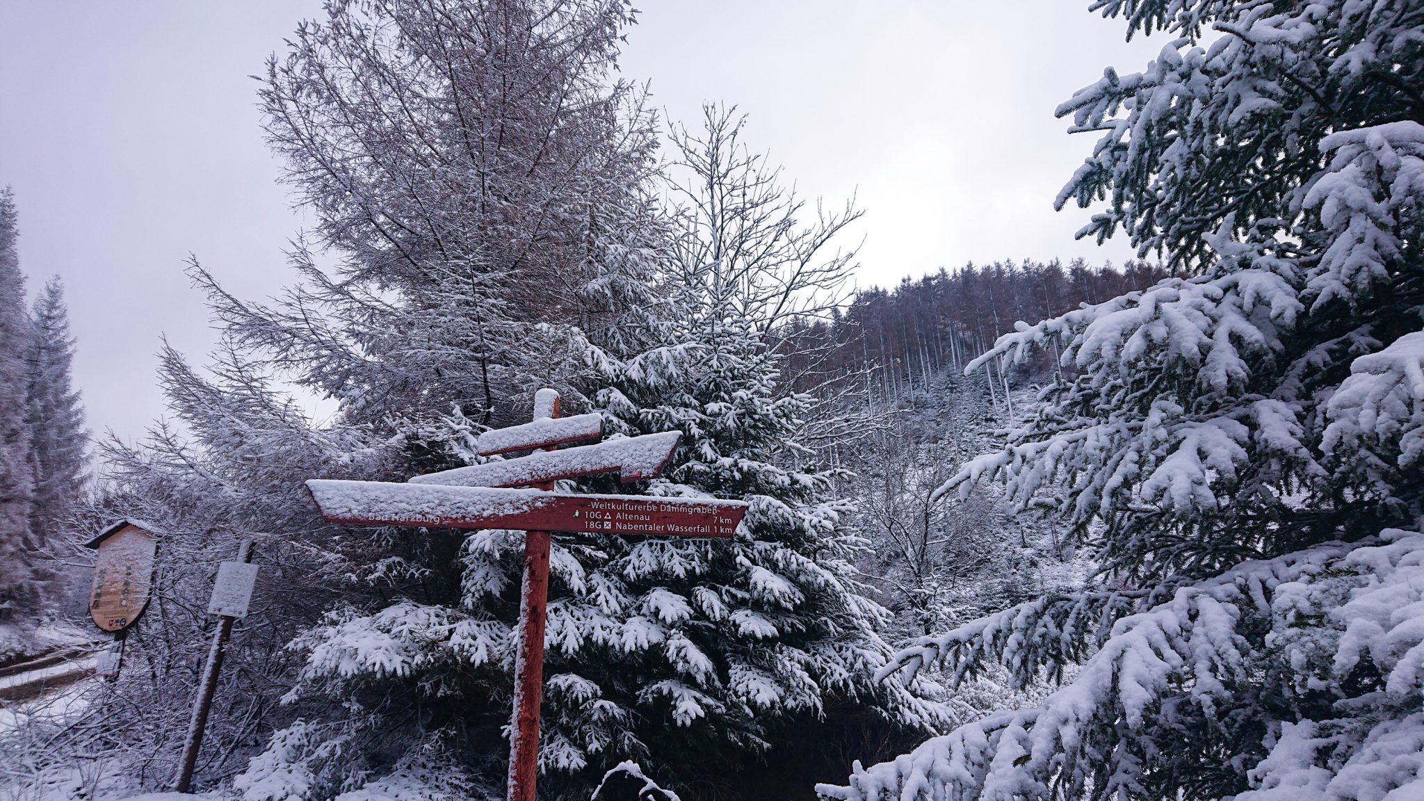 Wandern im Harz bei Torfhaus: Dammgraben, Butterstieg und Wolfswarte, Harz in Niedersachsen, Winterwanderung im Schnee, Schild mit Wegweiser Weltkulturerbe Dammgraben