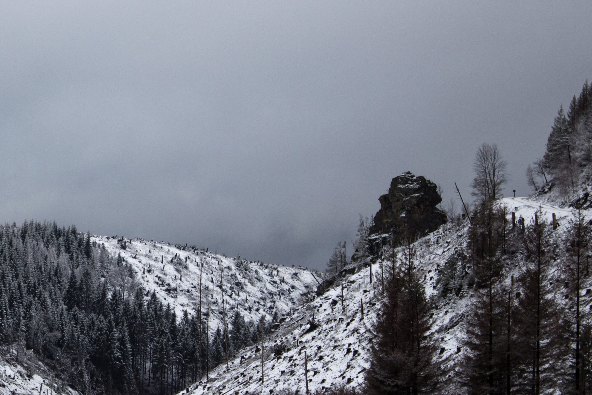 Wandern im Harz bei Torfhaus: Dammgraben, Butterstieg und Wolfswarte, Harz in Niedersachsen, Winterwanderung im Schnee, schneebedeckter Wanderweg und Nadelbäume, umgeben von Wald, Winterlandschaft, Aussicht auf dichte Wolken und durch Borkenkäfer zerstörten Wald, großer Felsen und Wanderweg in der Ferne sichtbar