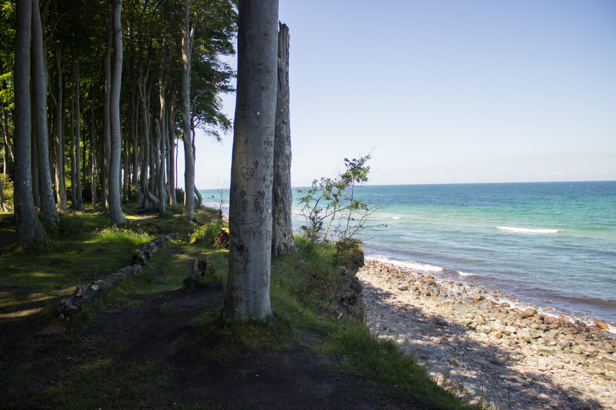 Wandern an der Ostsee von Kühlungsborn nach Börgerende auf dem E9, dritte Etappe des Wanderwegs an der Ostseeküste von Wismar nach Zingst, nach Ort Kühlungsborn geht es auf breiterem Kieselpfad weiter Richtung Heiligendamm, schöner Küstenwald mit Buchen und traumhafte Ausblicke auf die Ostsee, schmale Pfade führen durch den Wald, Strand und Wald nah beieinander