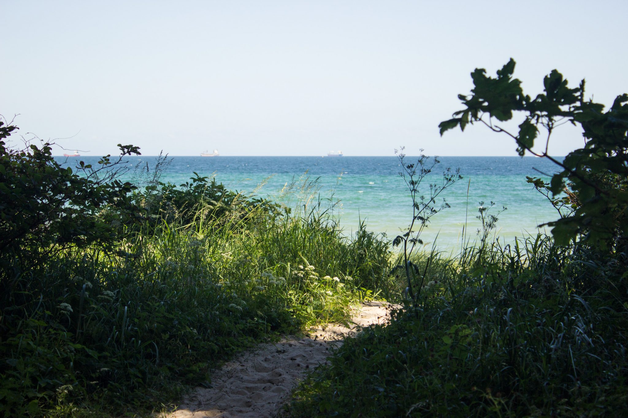 Wandern an der Ostsee von Börgerende nach Markgrafenheide auf dem E9, vierte Etappe des Wanderwegs an der Ostseeküste von Wismar nach Zingst, Wanderweg führt zwischen Nienhagen und Warnemünde zum großen Teil durch schönen Küstenwald mit Blick auf den schönen Ostseestrand, traumhafter Meerblick in Deutschland, schattenspendende Bäume, sehr schmaler Trampelpfad Richtung Ostsee umringt von saftig grüner Vegetation