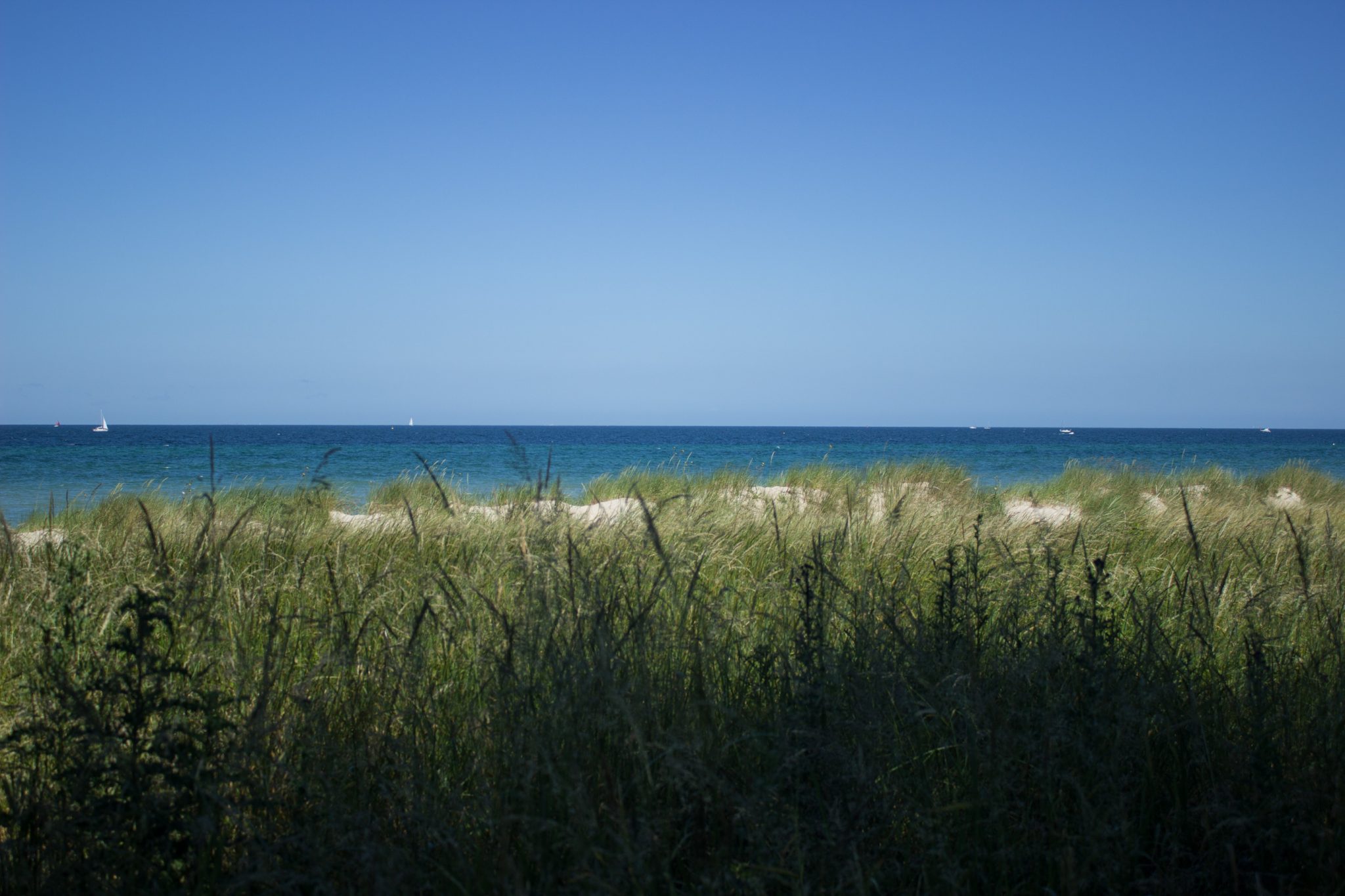 Wandern an der Ostsee von Börgerende nach Markgrafenheide auf dem E9, vierte Etappe des Wanderwegs an der Ostseeküste von Wismar nach Zingst, Wanderweg führt zwischen Nienhagen und Warnemünde zum großen Teil durch schönen Küstenwald mit Blick auf den schönen Ostseestrand, traumhafter Meerblick in Deutschland umringt von saftig grüner Vegetation, wolkenloser Himmel, Sommer an der Ostsee