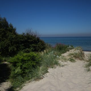 Wandern an der Ostsee von Markgrafenheide nach Dierhagen auf dem E9, fünfte Etappe des Wanderwegs an der Ostseeküste von Wismar nach Zingst, vom schönen und sehr weitläufigen Sandstrand an der Ostsee gehen wir über die Düne und biegen ein in den dichten Küstenwald in Richtung Graal-Müritz, wolkenloser Himmel, durch den tiefen Sand zu wandern ist anstrengend, Ausblick zurück auf das Meer
