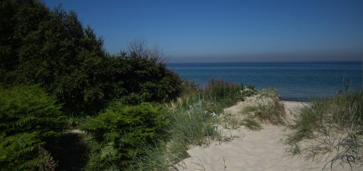 Wandern an der Ostsee von Markgrafenheide nach Dierhagen auf dem E9, fünfte Etappe des Wanderwegs an der Ostseeküste von Wismar nach Zingst, vom schönen und sehr weitläufigen Sandstrand an der Ostsee gehen wir über die Düne und biegen ein in den dichten Küstenwald in Richtung Graal-Müritz, wolkenloser Himmel, durch den tiefen Sand zu wandern ist anstrengend, Ausblick zurück auf das Meer