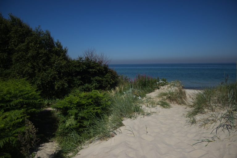 Wandern an der Ostsee von Markgrafenheide nach Dierhagen auf dem E9, fünfte Etappe des Wanderwegs an der Ostseeküste von Wismar nach Zingst, vom schönen und sehr weitläufigen Sandstrand an der Ostsee gehen wir über die Düne und biegen ein in den dichten Küstenwald in Richtung Graal-Müritz, wolkenloser Himmel, durch den tiefen Sand zu wandern ist anstrengend, Ausblick zurück auf das Meer
