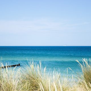 Wandern an der Ostsee von Dierhagen nach Ahrenshoop auf dem E9, sechste Etappe des Wanderwegs an der Ostseeküste von Wismar nach Zingst, am Strand an der Ostsee wandern wir weiter Richtung Ort Wustrow, traumhaft schöne Aussicht auf das Meer und mit Schilf bewachsene Düne, Ostsee mit sauberem klarem Wasser