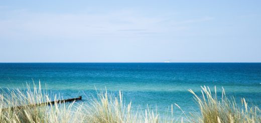Wandern an der Ostsee von Dierhagen nach Ahrenshoop auf dem E9, sechste Etappe des Wanderwegs an der Ostseeküste von Wismar nach Zingst, am Strand an der Ostsee wandern wir weiter Richtung Ort Wustrow, traumhaft schöne Aussicht auf das Meer und mit Schilf bewachsene Düne, Ostsee mit sauberem klarem Wasser
