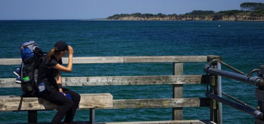 Wandern an der Ostsee von Dierhagen nach Ahrenshoop auf dem E9, sechste Etappe des Wanderwegs an der Ostseeküste von Wismar nach Zingst, am Strand an der Ostsee wandern wir bis nach Wustrow, schöne Aussicht von der Seebrücke im Ostseebad Wustrow auf die Ostsee und die Steilküste in der Ferne, Wanderer mit großem Rucksack macht Pause auf Bank, wolkenloser Himmel und Sonnenschein im Sommer