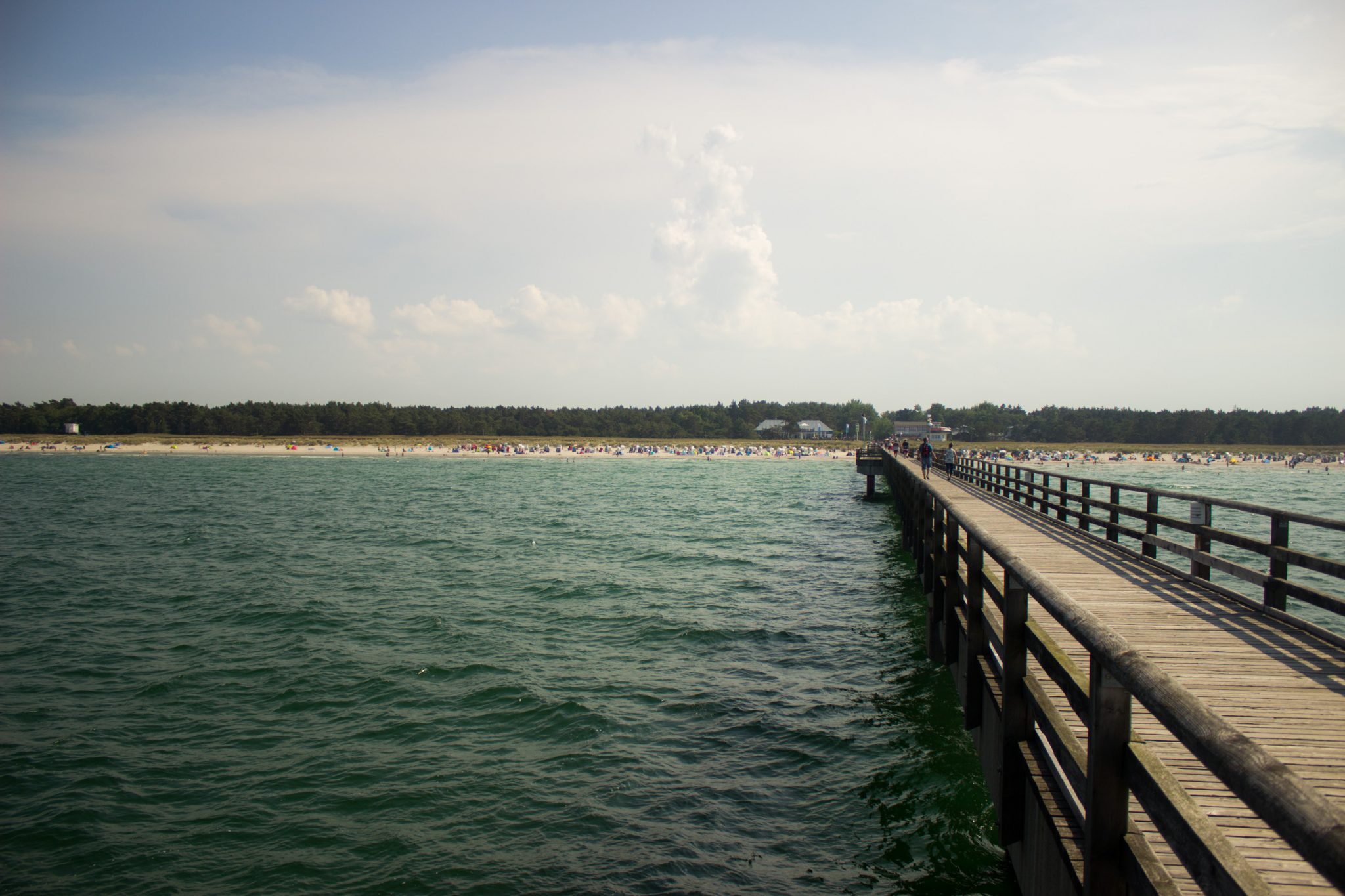 Wandern an der Ostsee von Ahrenshoop nach Zingst auf dem E9, siebte Etappe des Wanderwegs an der Ostseeküste von Wismar nach Zingst, nach Wanderung durch Wald des Nationalpark Vorpommersche Boddenlandschaft erreichen wir den Ort Prerow, Blick von der Seebrücke Richtung Land auf den Strand und den dahinterliegenden Wald, kühle Meeresbrise