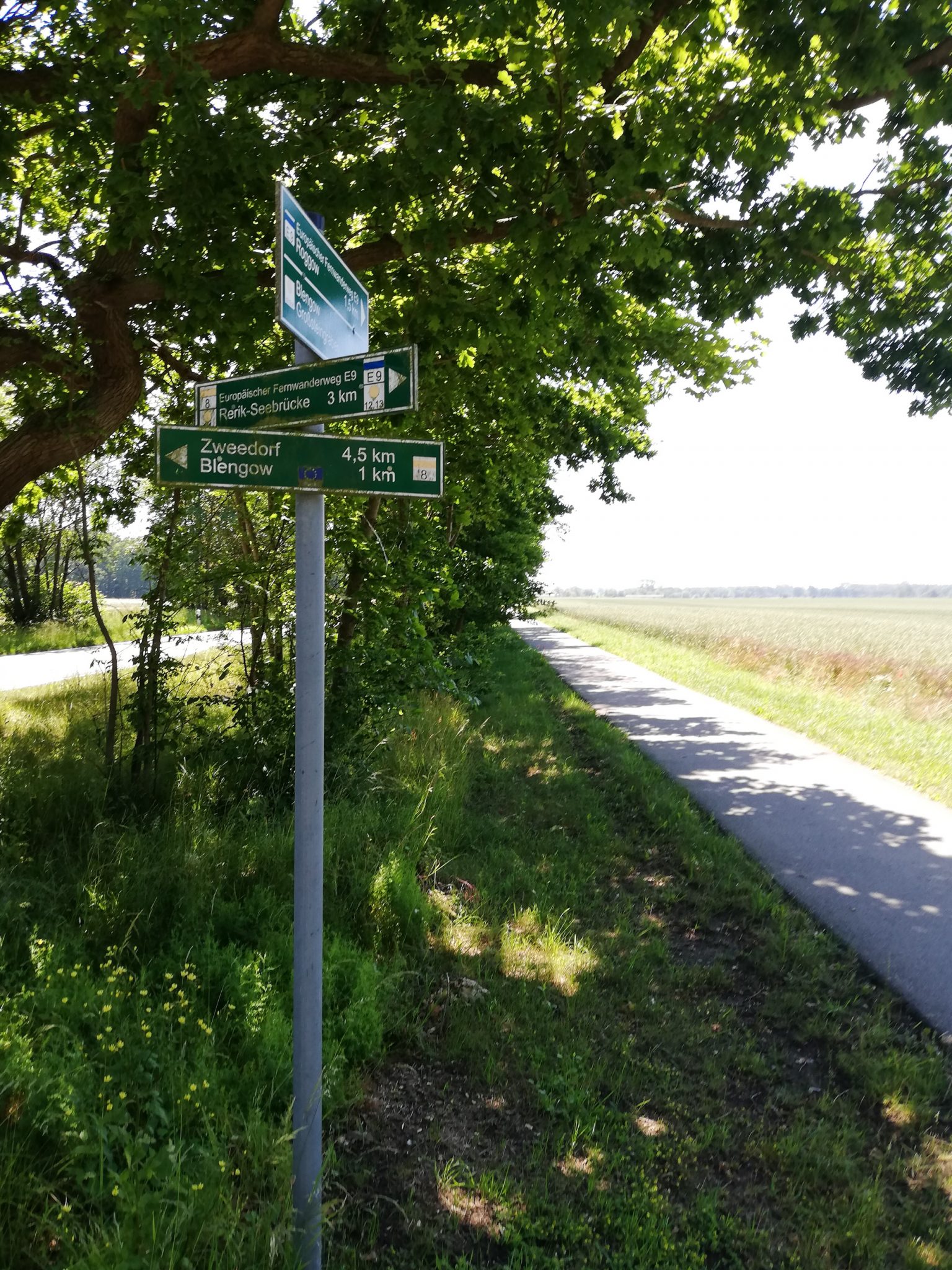 Wandern an der Ostsee vom Salzhaff nach Kühlungsborn auf dem E9 Fernwanderweg, zweite Etappe des Wanderwegs an der Ostseeküste von Wismar nach Zingst, seltener Wegweiser mit Ausschilderung Europäischer Fernwanderweg E9 Markierung mit Streifen weiß blau weiß