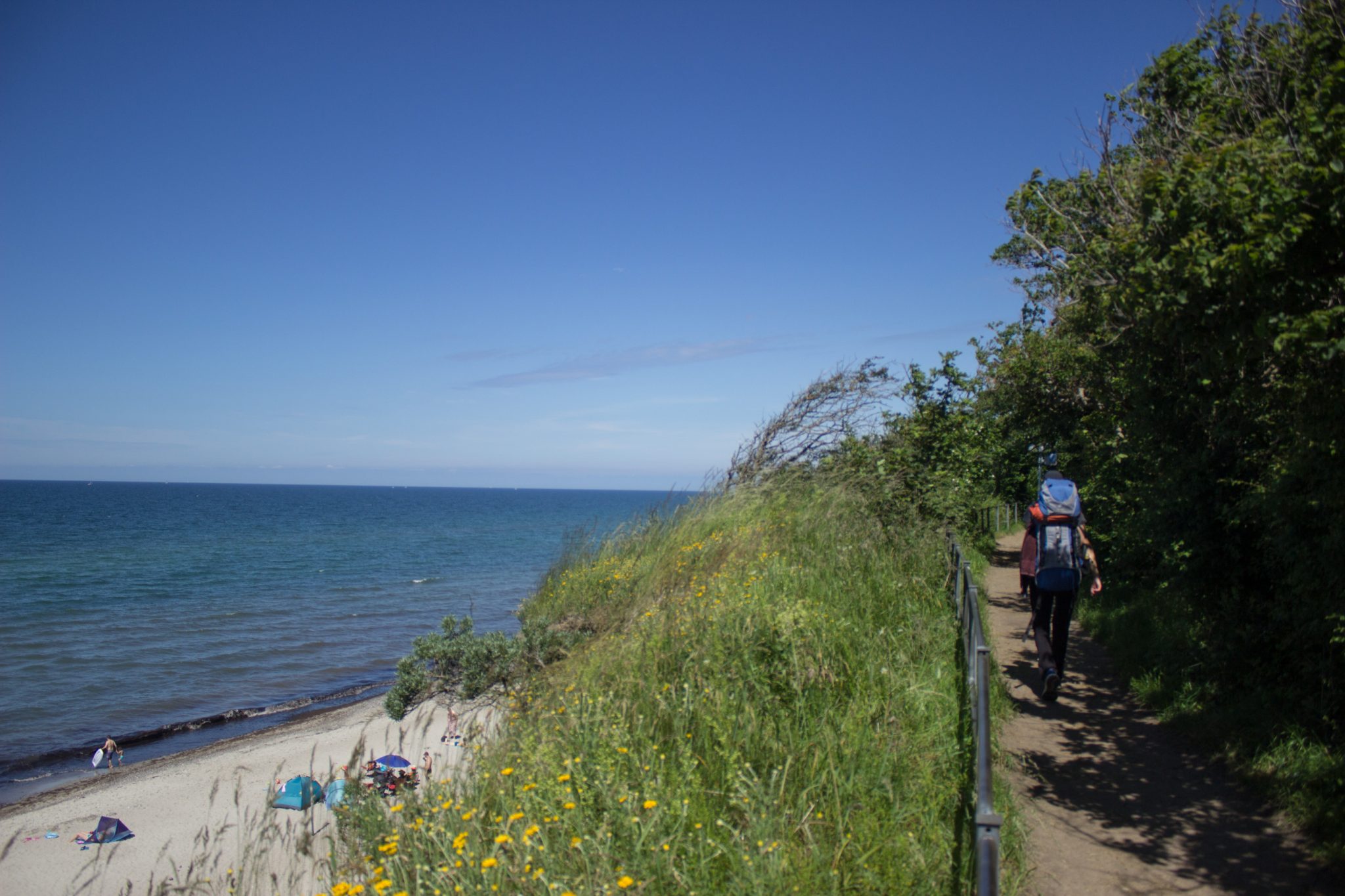 Wandern an der Ostsee vom Salzhaff nach Kühlungsborn auf dem E9 Fernwanderweg, zweite Etappe des Wanderwegs an der Ostseeküste von Wismar nach Zingst, Wanderer unterwegs auf schmalem Weg an der in Rerik erreichten Ostsee und Strand, grüne Vegetation spendet Schatten