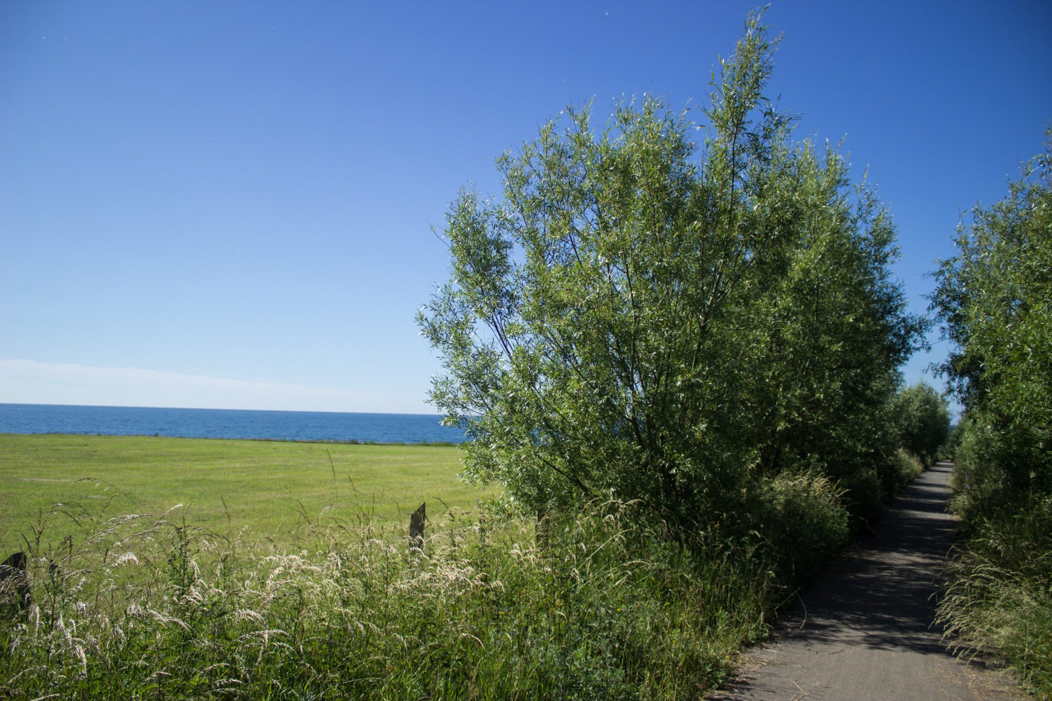 Wandern an der Ostsee vom Salzhaff nach Kühlungsborn auf dem E9 Fernwanderweg, zweite Etappe des Wanderwegs an der Ostseeküste von Wismar nach Zingst, Wanderweg mit Blick auf die Ostsee und grüne Wiesen