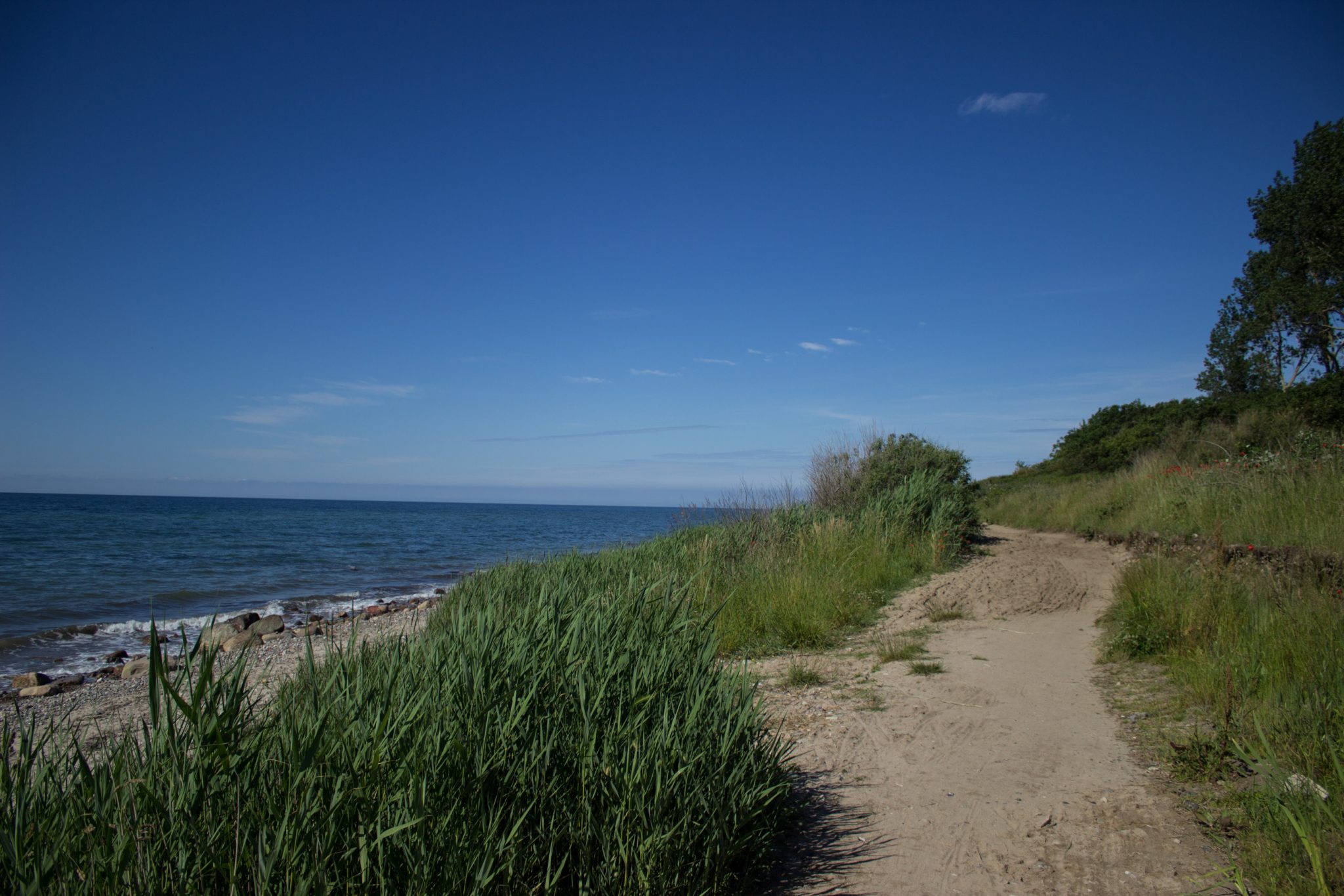 Wandern an der Ostsee vom Salzhaff nach Kühlungsborn auf dem E9 Fernwanderweg, zweite Etappe des Wanderwegs an der Ostseeküste von Wismar nach Zingst, Blick auf die schöne Ostsee im Sommer, fast menschenleerer Strand, sandiger Wanderweg mit direktem Meerblick