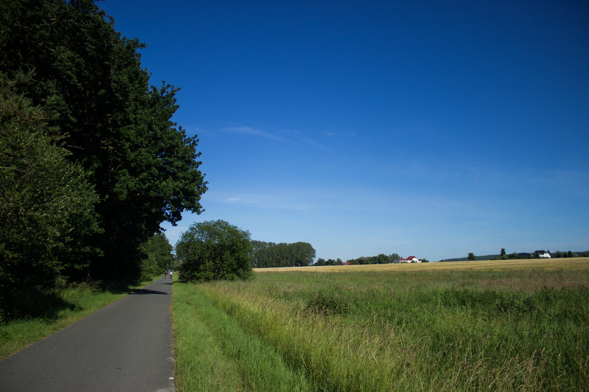 Wandern an der Ostsee vom Salzhaff nach Kühlungsborn auf dem E9 Fernwanderweg, zweite Etappe des Wanderwegs an der Ostseeküste von Wismar nach Zingst, bei Kühlungsborn verlassen wir den Strand an der Ostsee und laufen an Feld entlang Richtung Kühlungsborn zum Campingplatz, Asphaltweg mit einigen Radfahrern