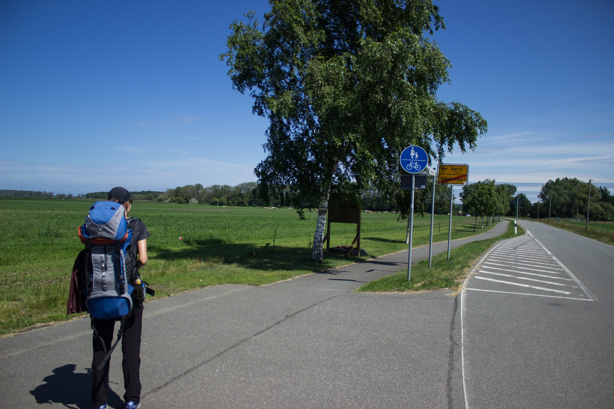 Wandern an der Ostsee vom Salzhaff nach Kühlungsborn auf dem E9 Fernwanderweg, zweite Etappe des Wanderwegs an der Ostseeküste von Wismar nach Zingst, ab Teßmannsdorf folgt man dem Ostseeküstenradweg, leider für einige Kilometer auf Fahrradweg aus Asphalt mit vielen Radfahrern neben großer Straße, weniger schöner Abschnitt