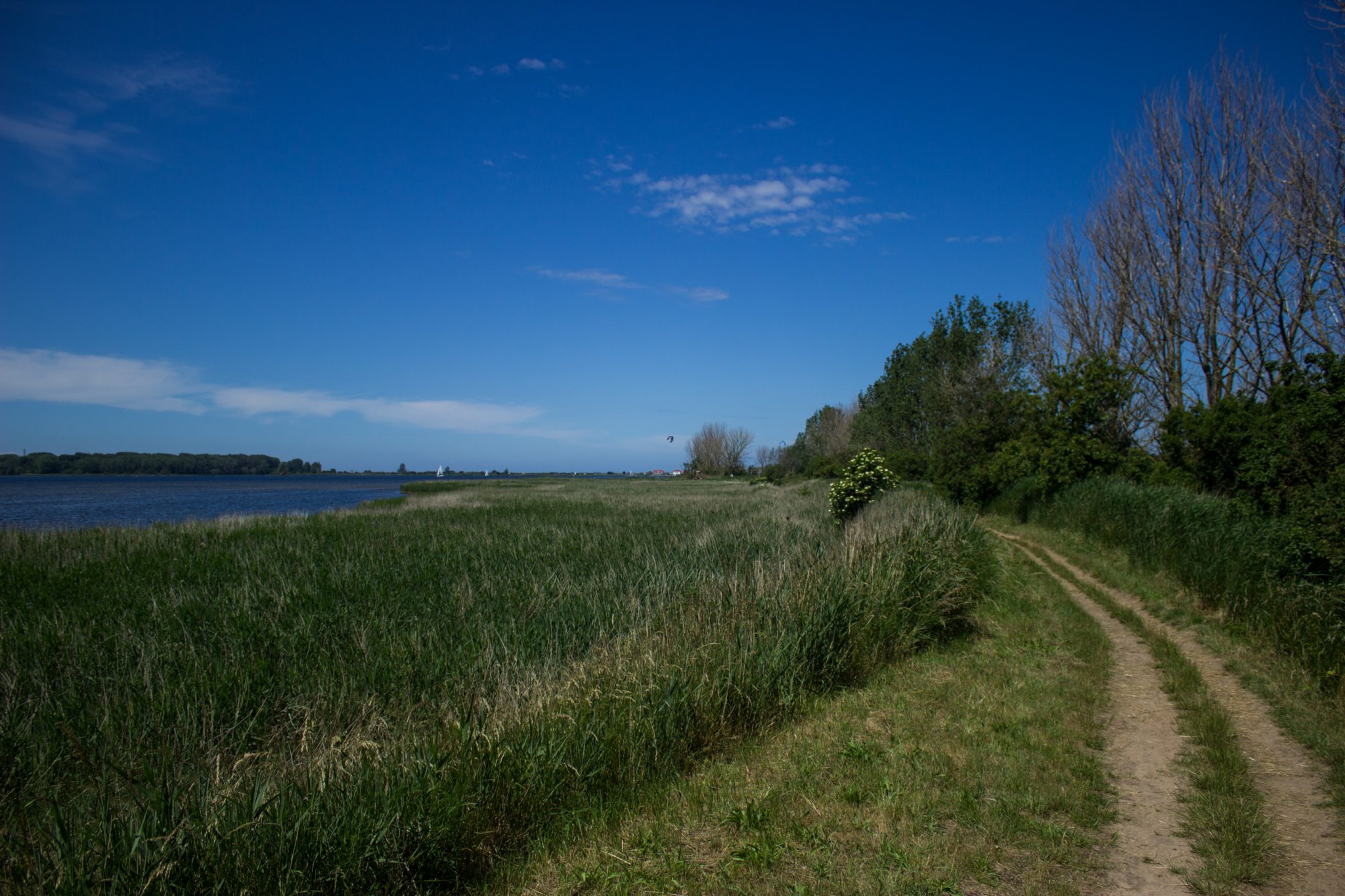 Wandern an der Ostsee vom Salzhaff nach Kühlungsborn auf dem E9 Fernwanderweg, zweite Etappe des Wanderwegs an der Ostseeküste von Wismar nach Zingst, schmaler Pfad am Salzhaff entlang in Richtung Rerik, je näher man Rerik kommt, umso mehr Menschen sind unterwegs