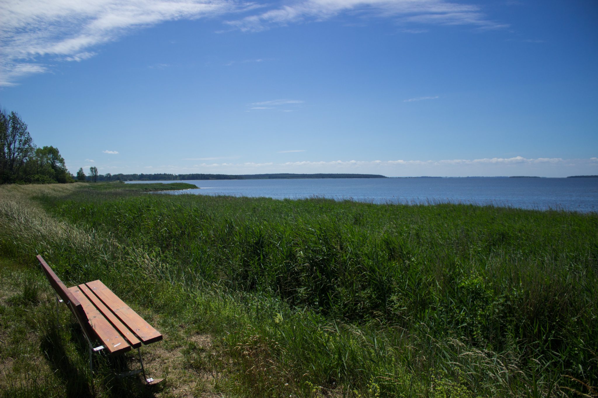 Wandern an der Ostsee vom Salzhaff nach Kühlungsborn auf dem E9 Fernwanderweg, zweite Etappe des Wanderwegs an der Ostseeküste von Wismar nach Zingst, schmaler Pfad am Salzhaff entlang in Richtung Rerik, je näher man Rerik kommt, umso mehr Menschen sind unterwegs, schöne Bank um Pause einzulegen, dichtes Schilf und weite Aussicht auf Salzhaff
