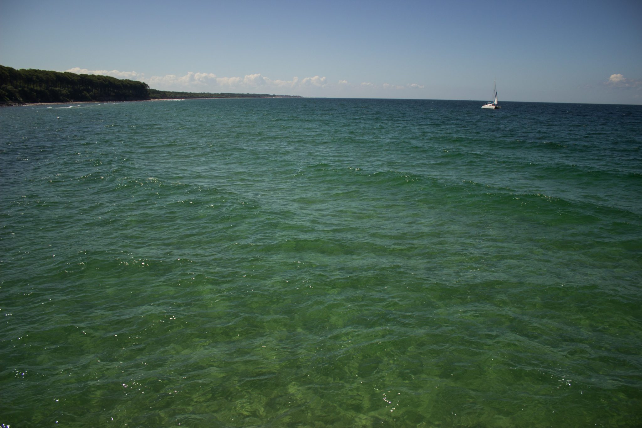 Wandern an der Ostsee von Kühlungsborn nach Börgerende auf dem E9, dritte Etappe des Wanderwegs an der Ostseeküste von Wismar nach Zingst, nach Ort Kühlungsborn führt die Wanderung weiter Richtung Heiligendamm, Blick von der Seebrücke in Heiligendamm auf die glasklare Ostsee, in der Ferne dichter Küstenwald an Land und Segelboot