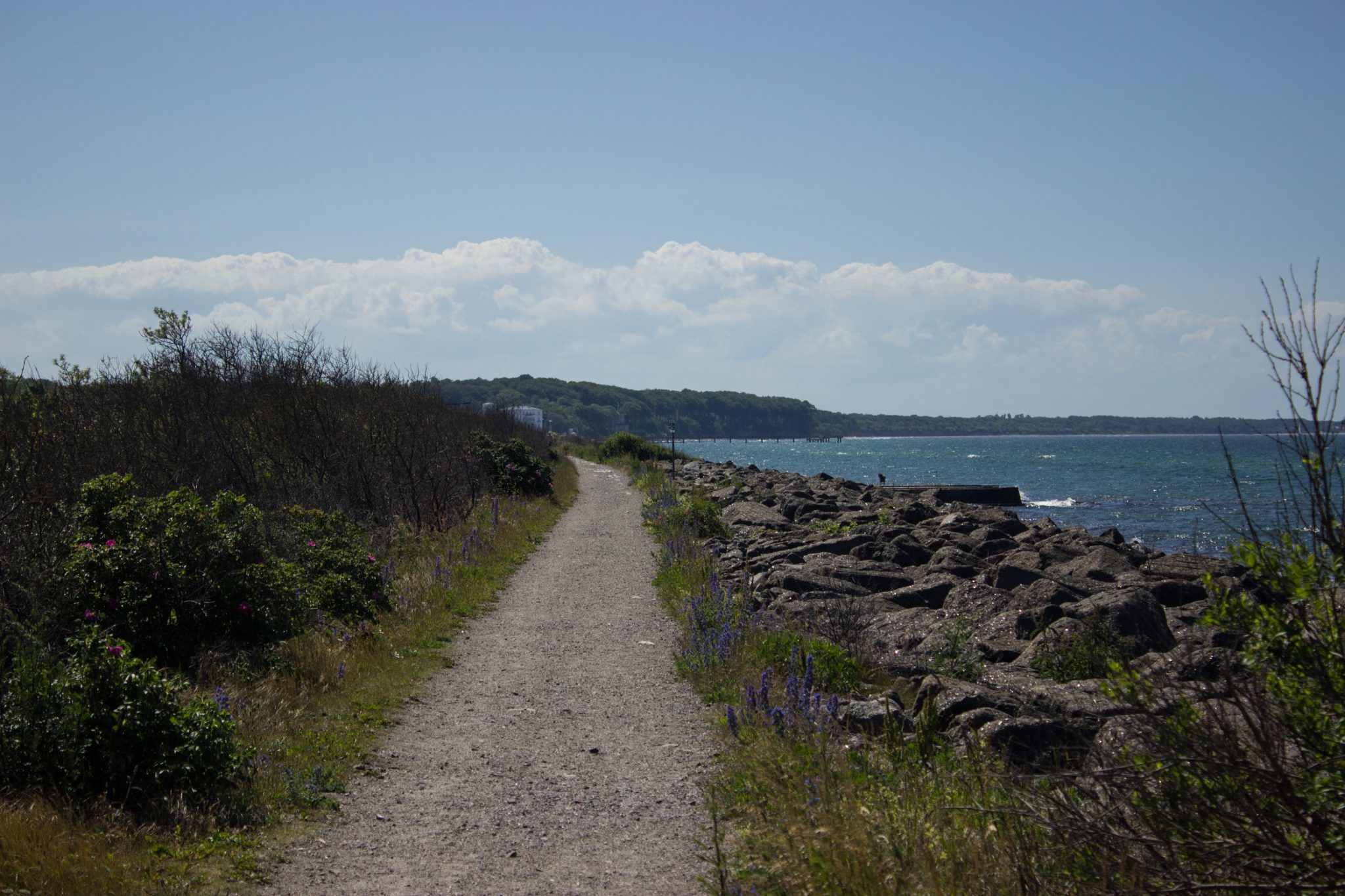 Wandern an der Ostsee von Kühlungsborn nach Börgerende auf dem E9, dritte Etappe des Wanderwegs an der Ostseeküste von Wismar nach Zingst,